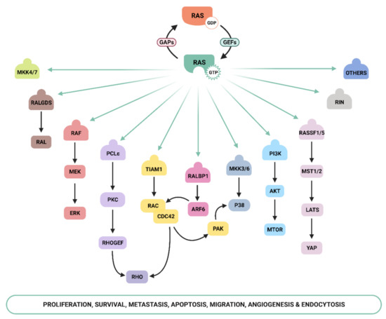 Genes 12 01094 g001 550