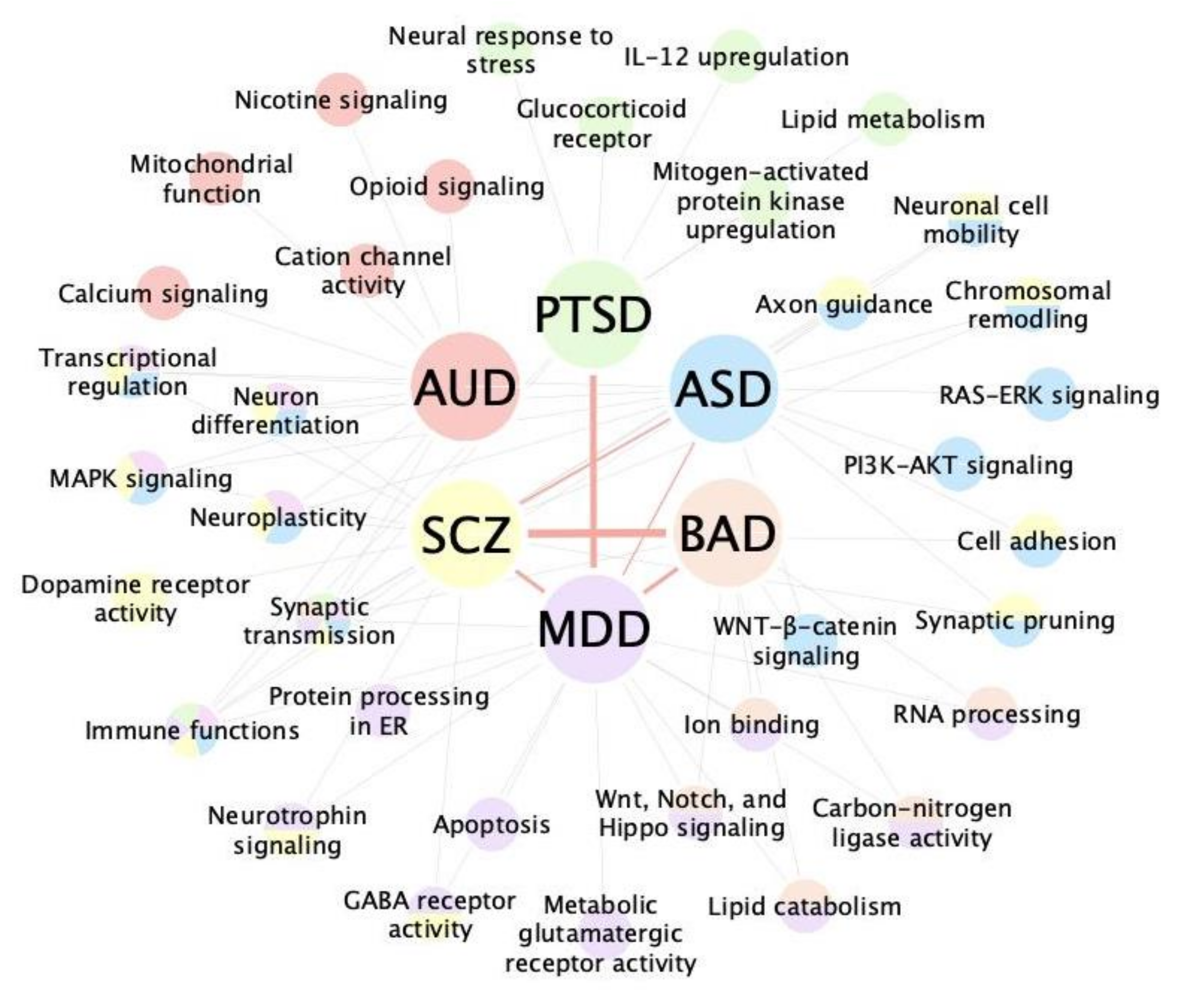 Genes Free Full Text Unveiling The Pathogenesis Of Psychiatric genes-free-full-text-unveiling-the-pathogenesis-of-psychiatric