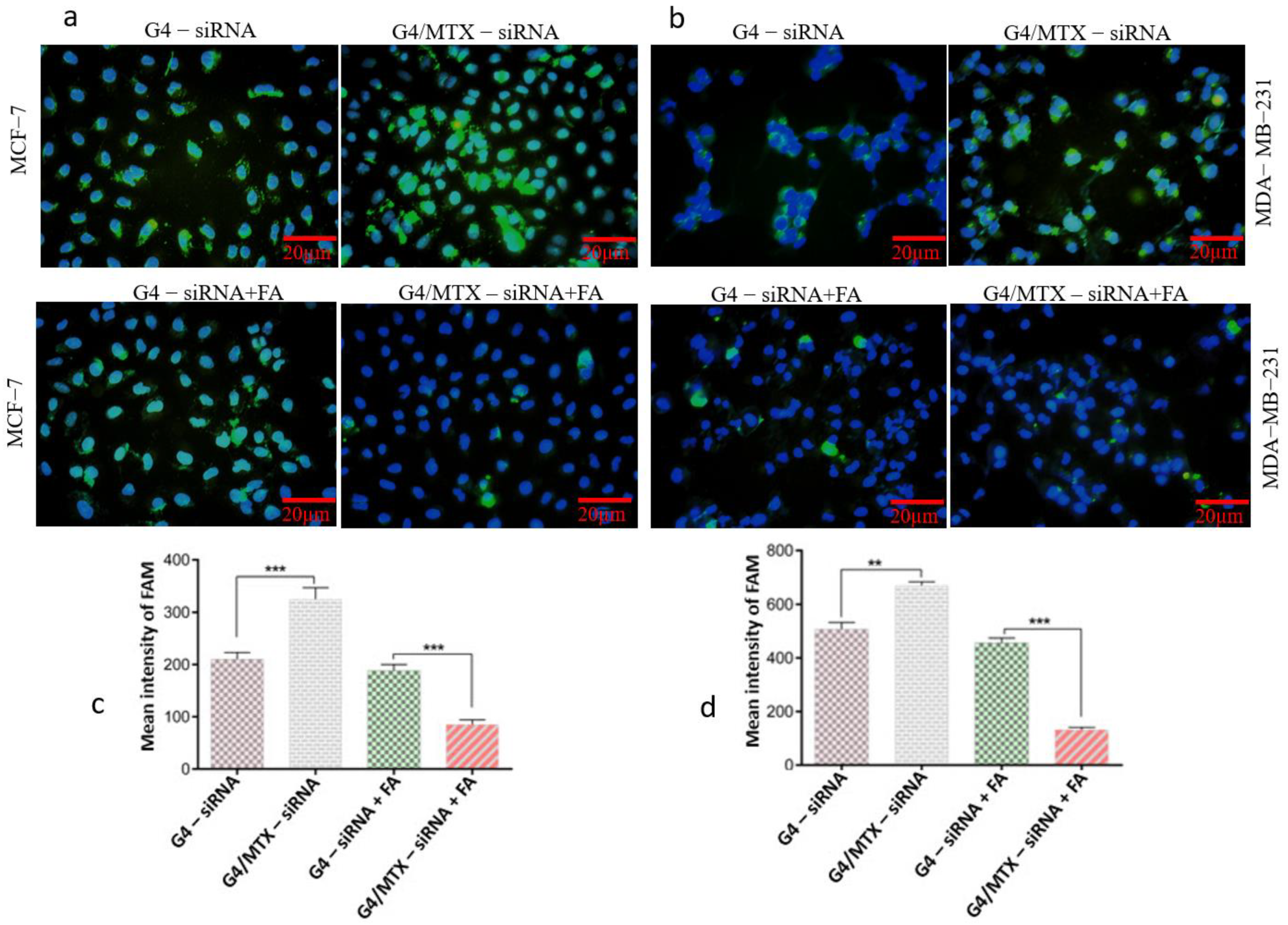 Genes 12 01102 g003 Genes 12 01102 g003