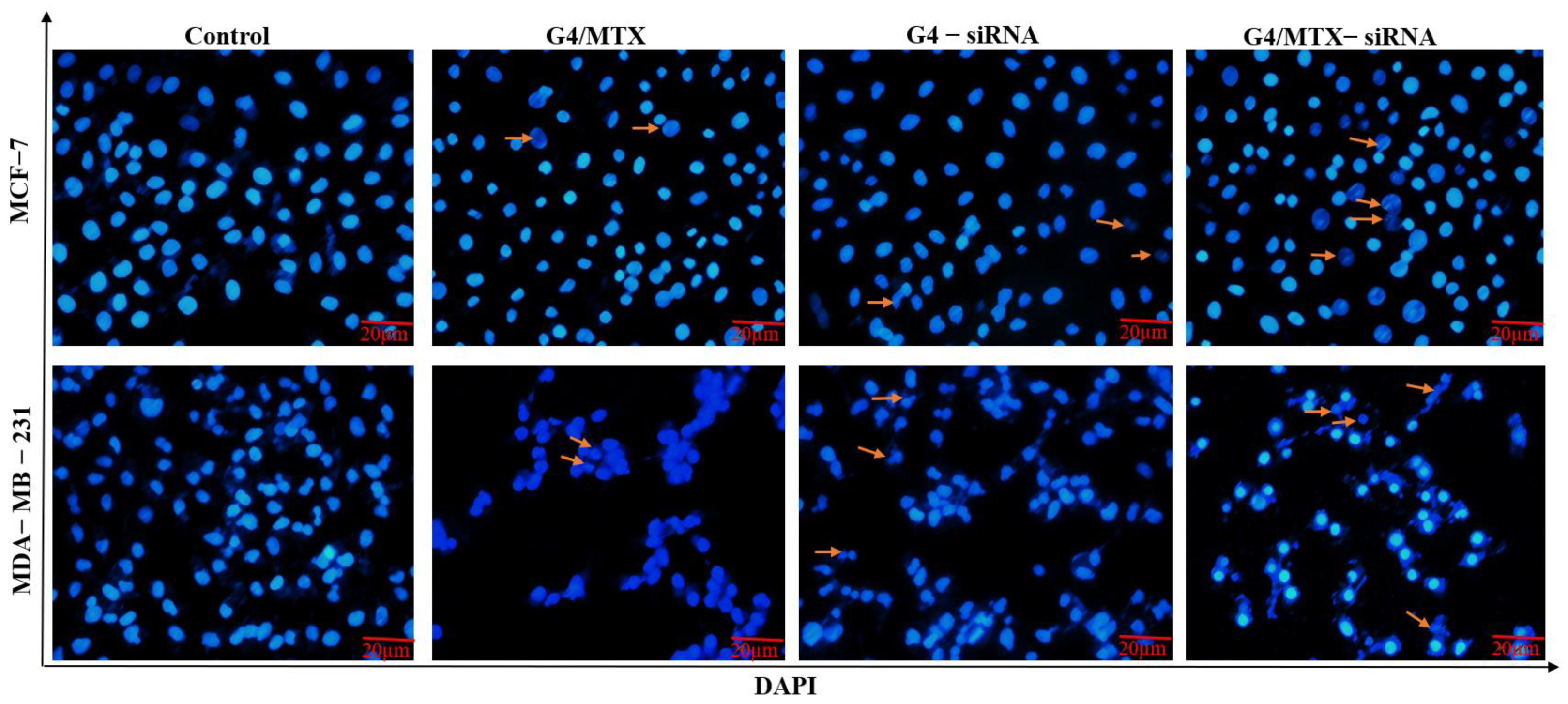 Genes 12 01102 g007 Genes 12 01102 g007