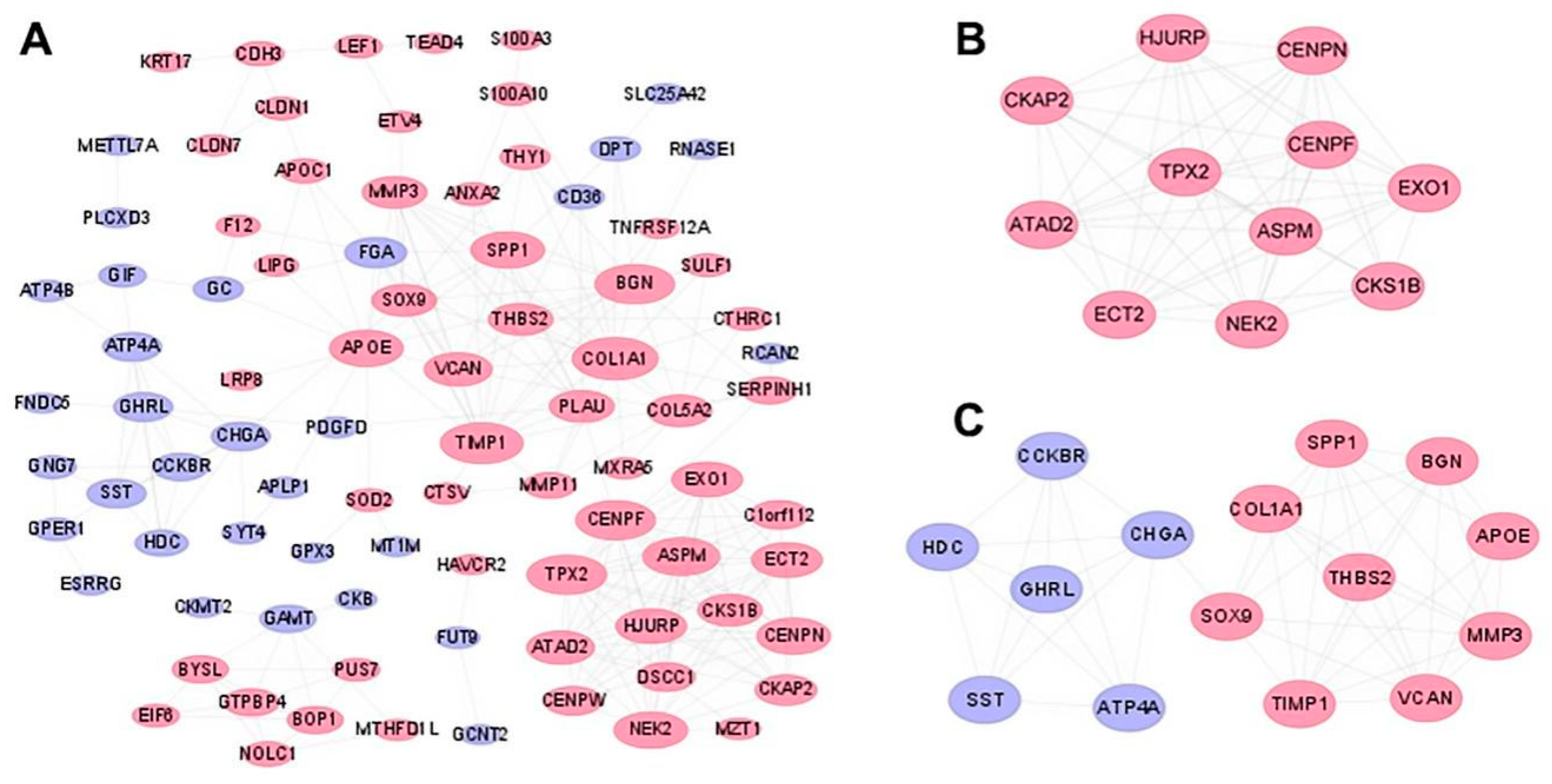 Genes 12 01104 g004 550