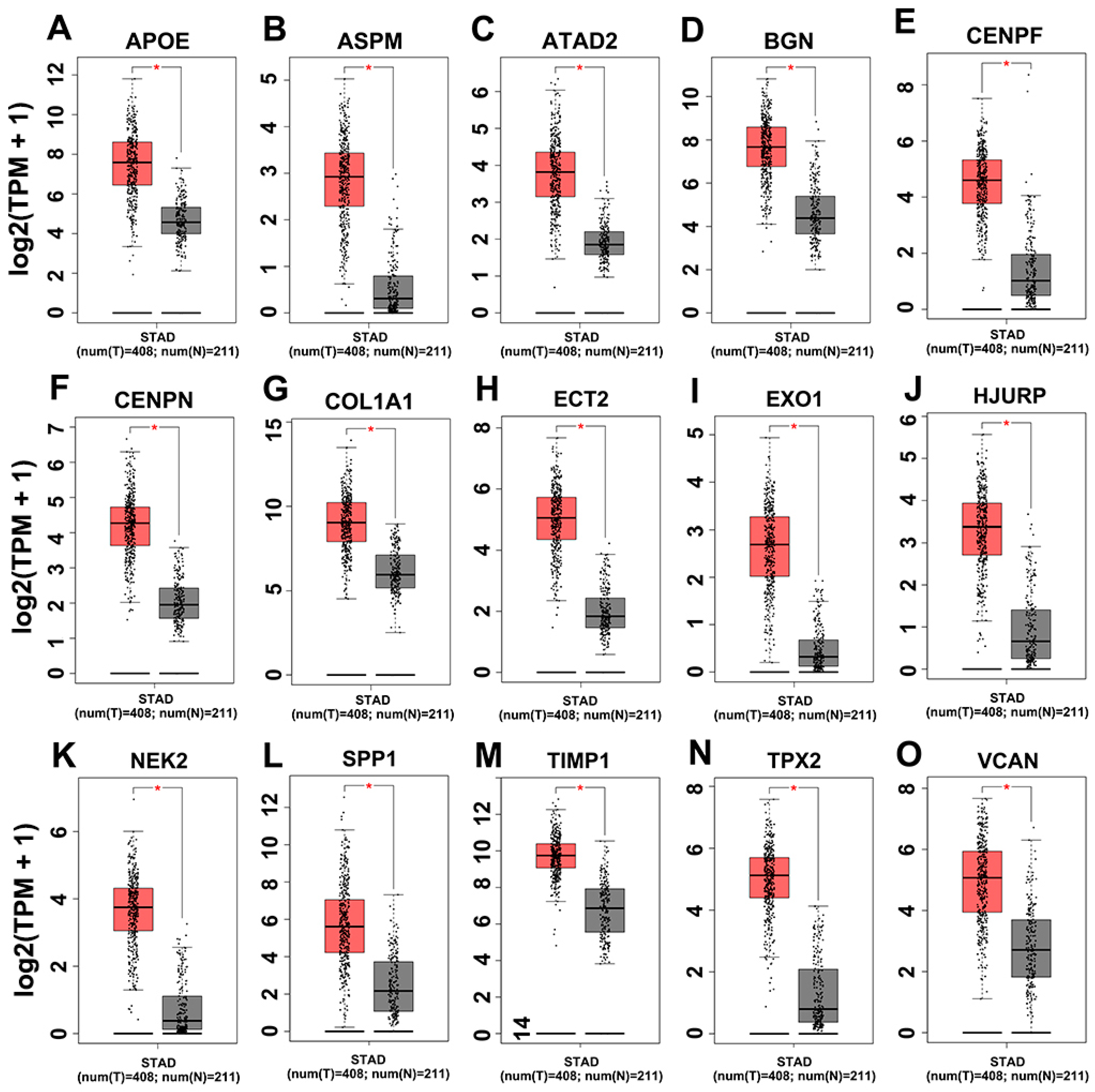 Genes 12 01104 g005 550