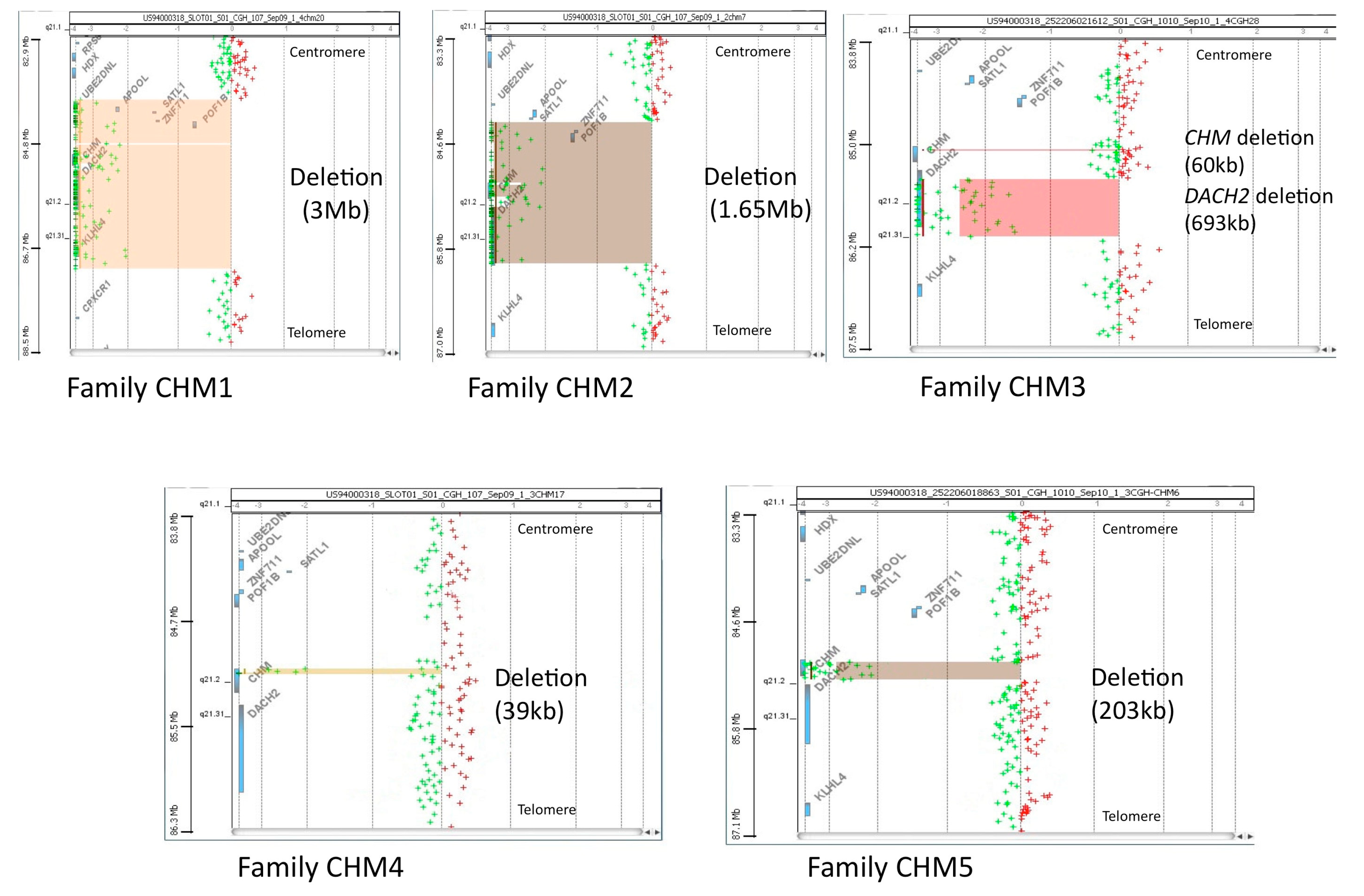 Genes 12 01111 g002 Genes 12 01111 g002