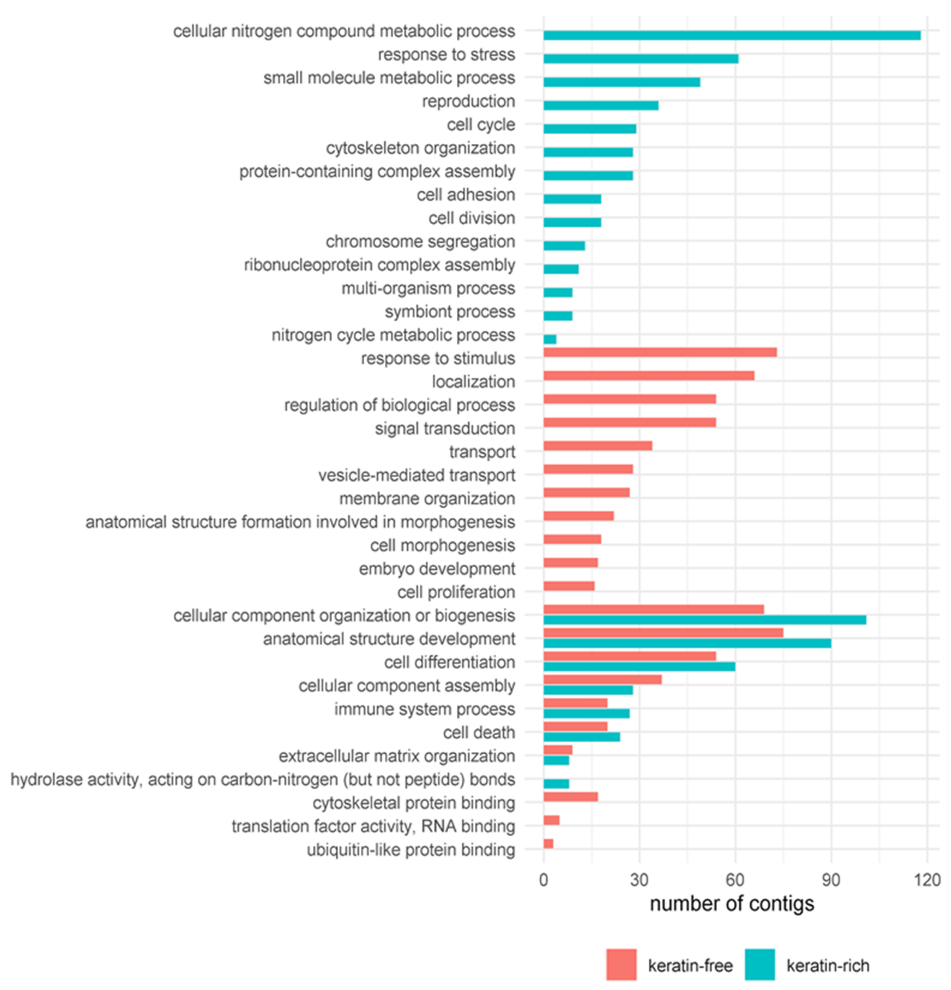 Genes 12 01113 g003 Genes 12 01113 g003