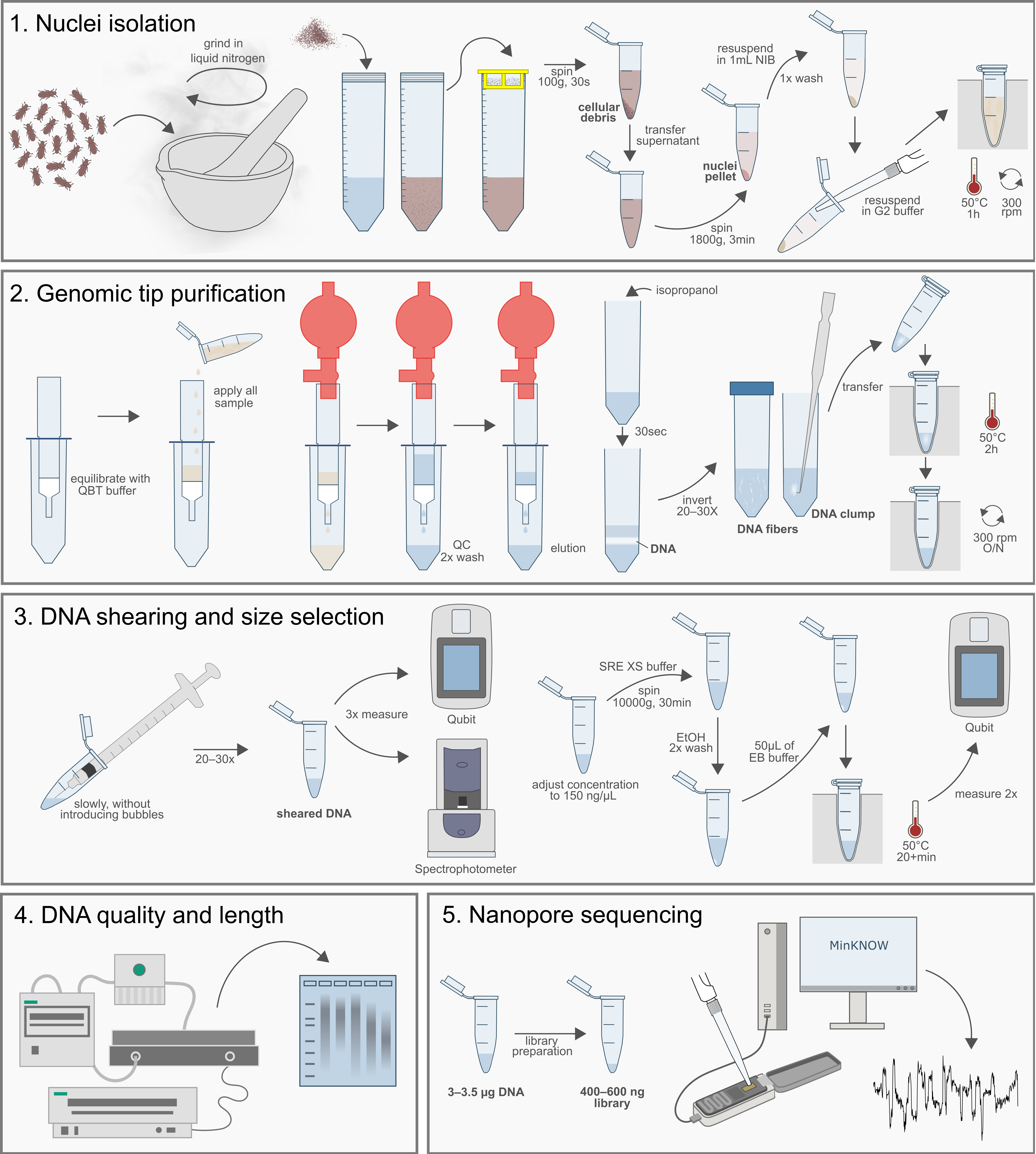 Genes 12 01114 g001