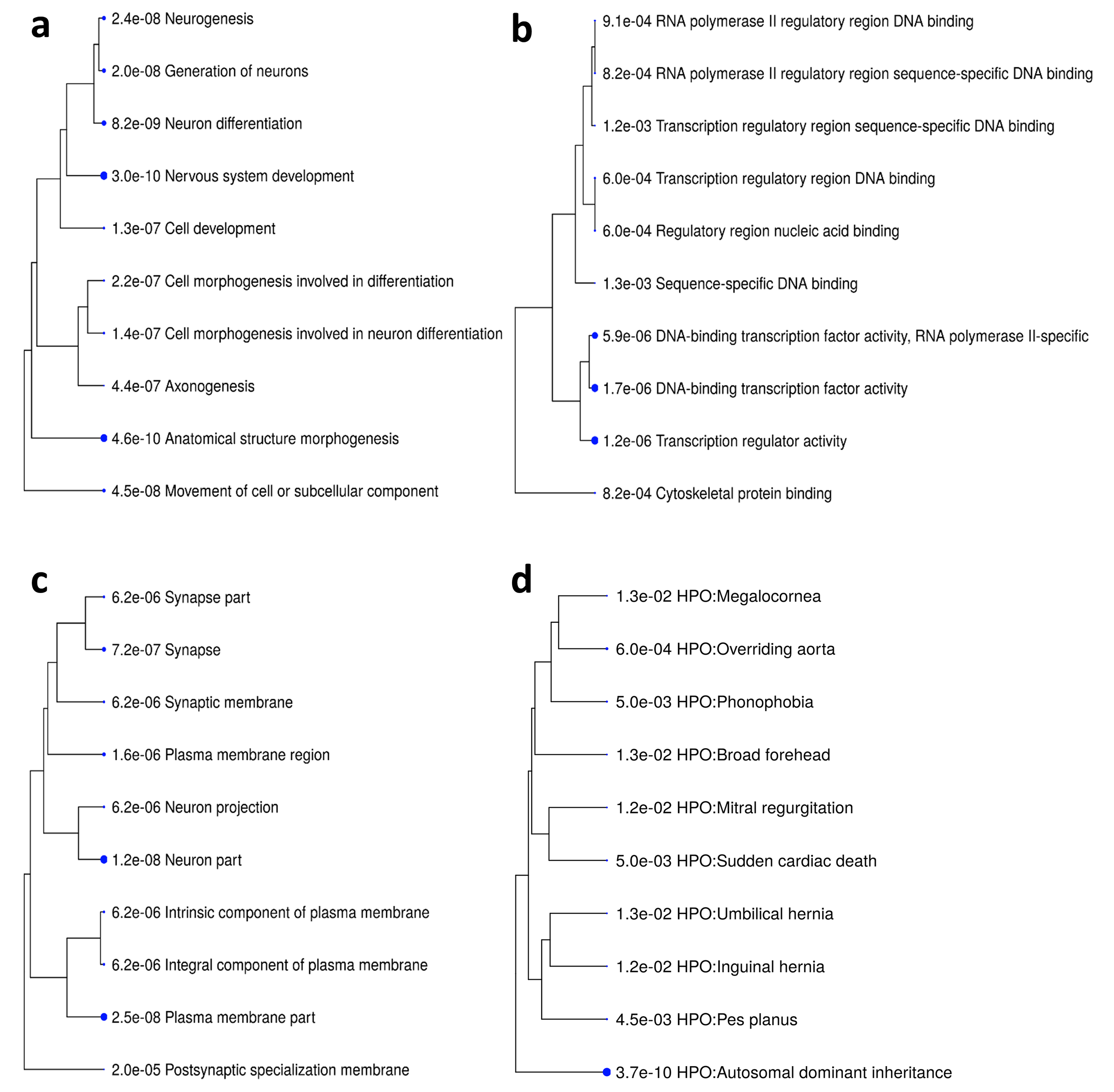 Genes 12 01115 g005 550