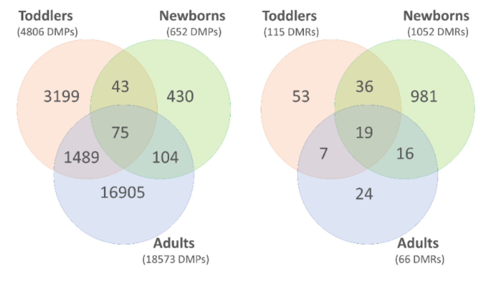Genes 12 01115 g007 550