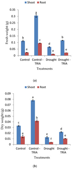 Genes Free Full Text Biochemical And Molecular Effects Induced By Triacontanol In Acquired Tolerance Of Rice To Drought Stress Html