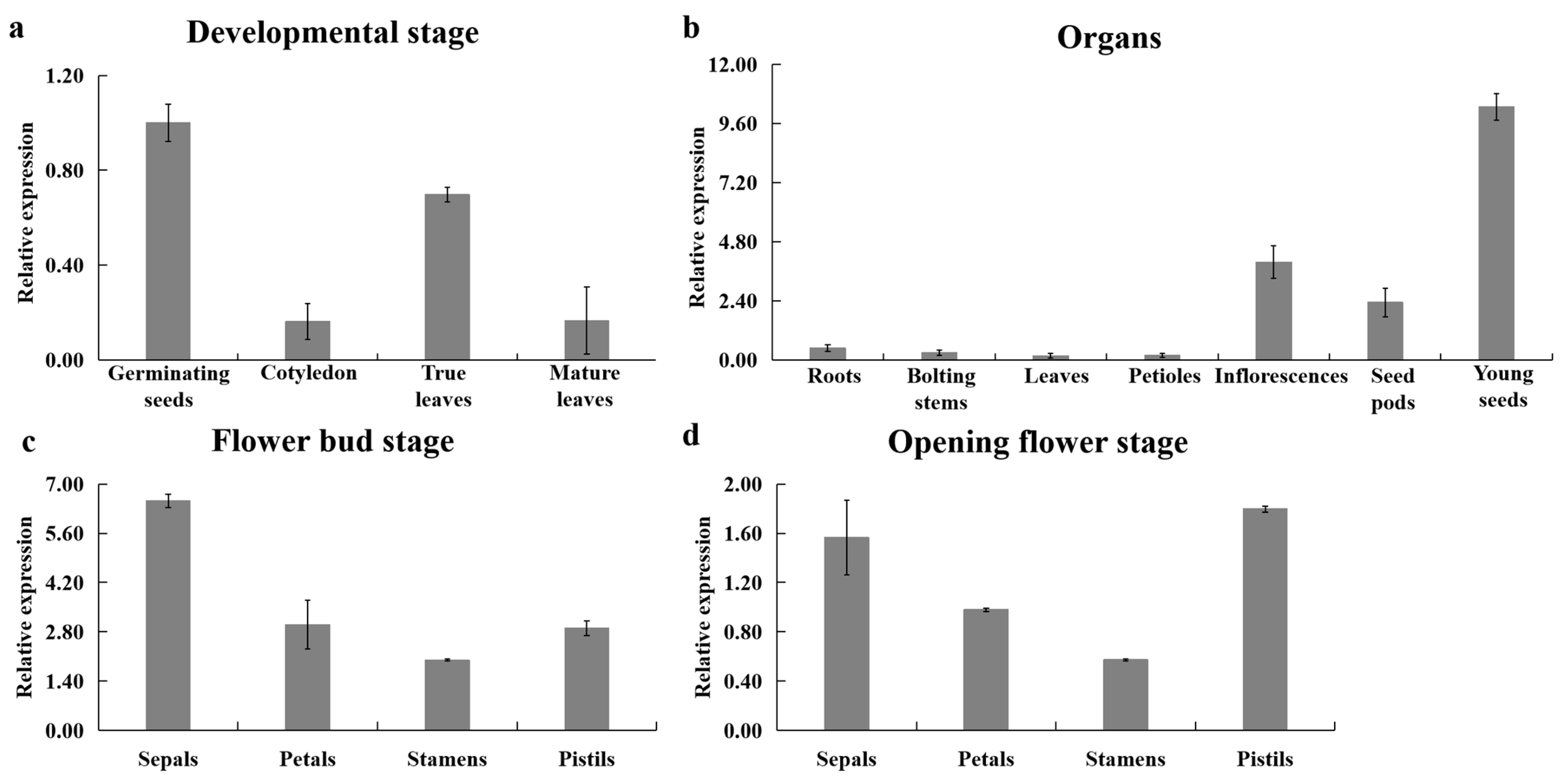 Genes 12 01122 g002 550