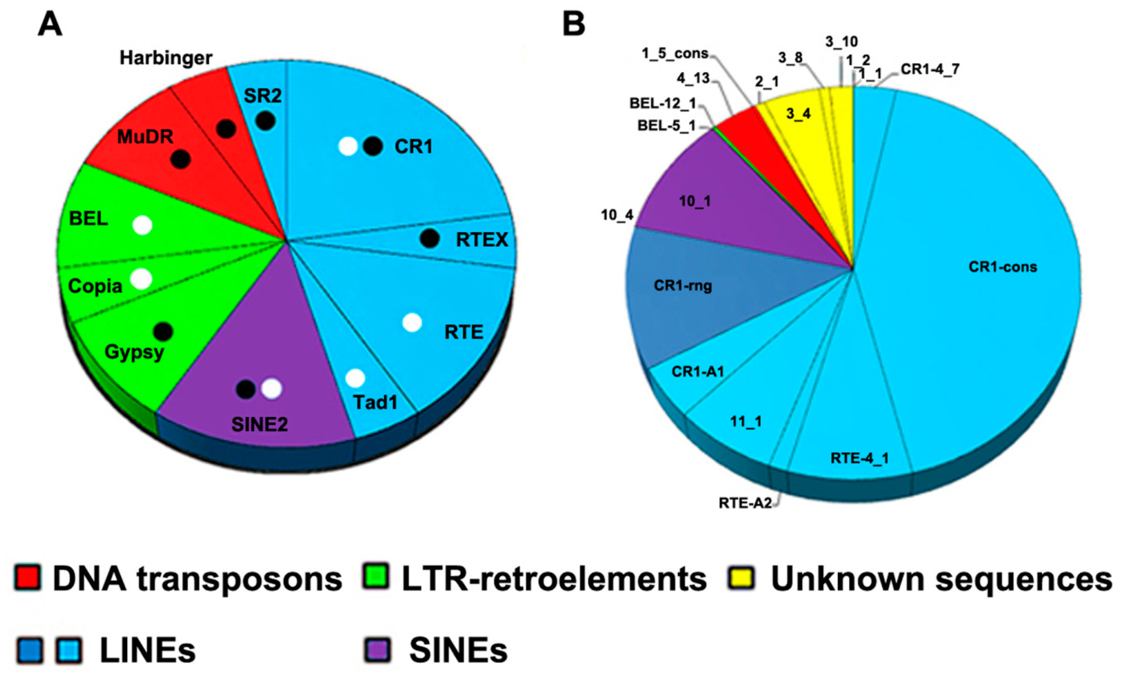 Genes 12 01129 g004