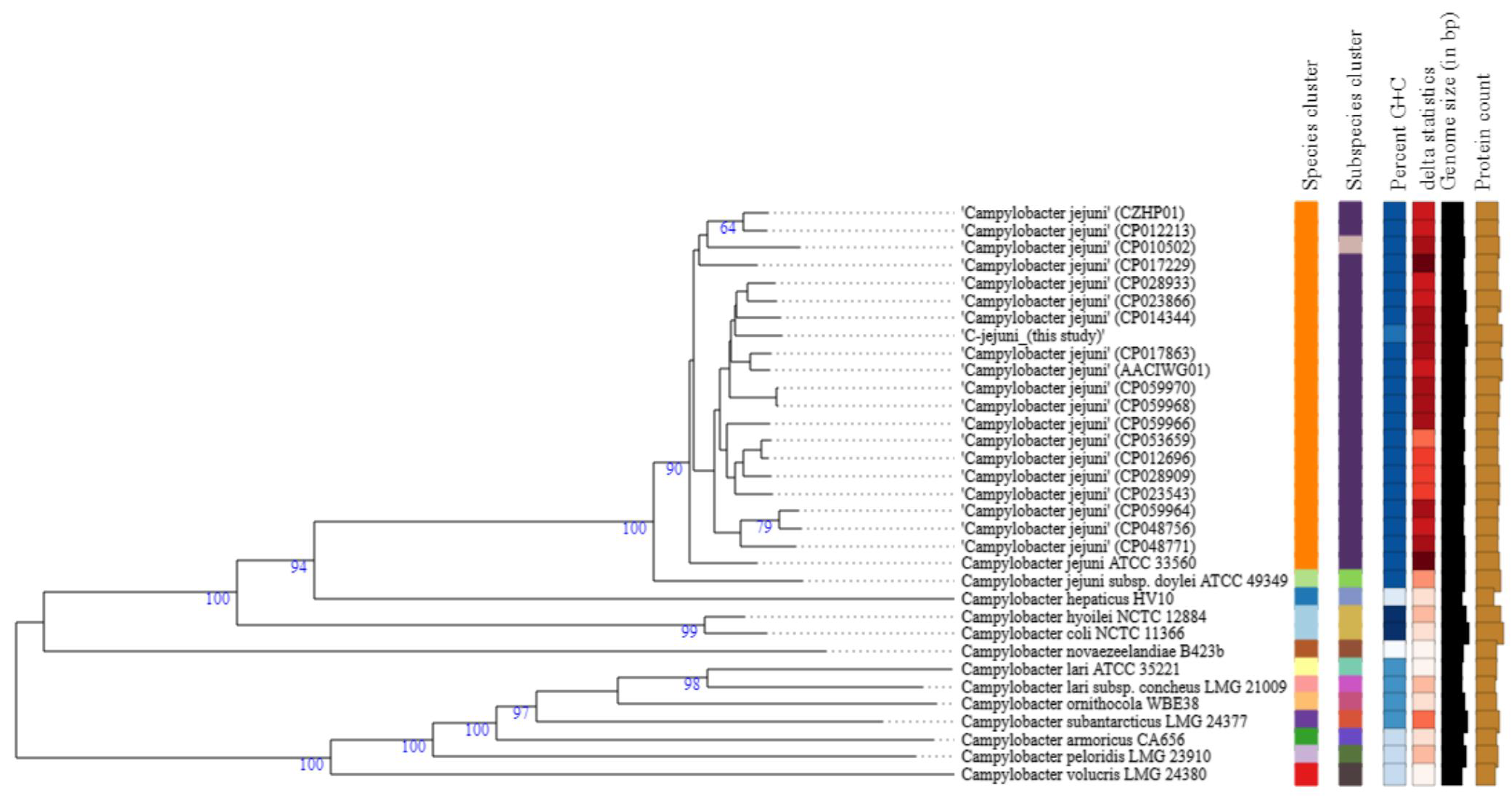 Genes 12 01131 g001 Genes 12 01131 g001