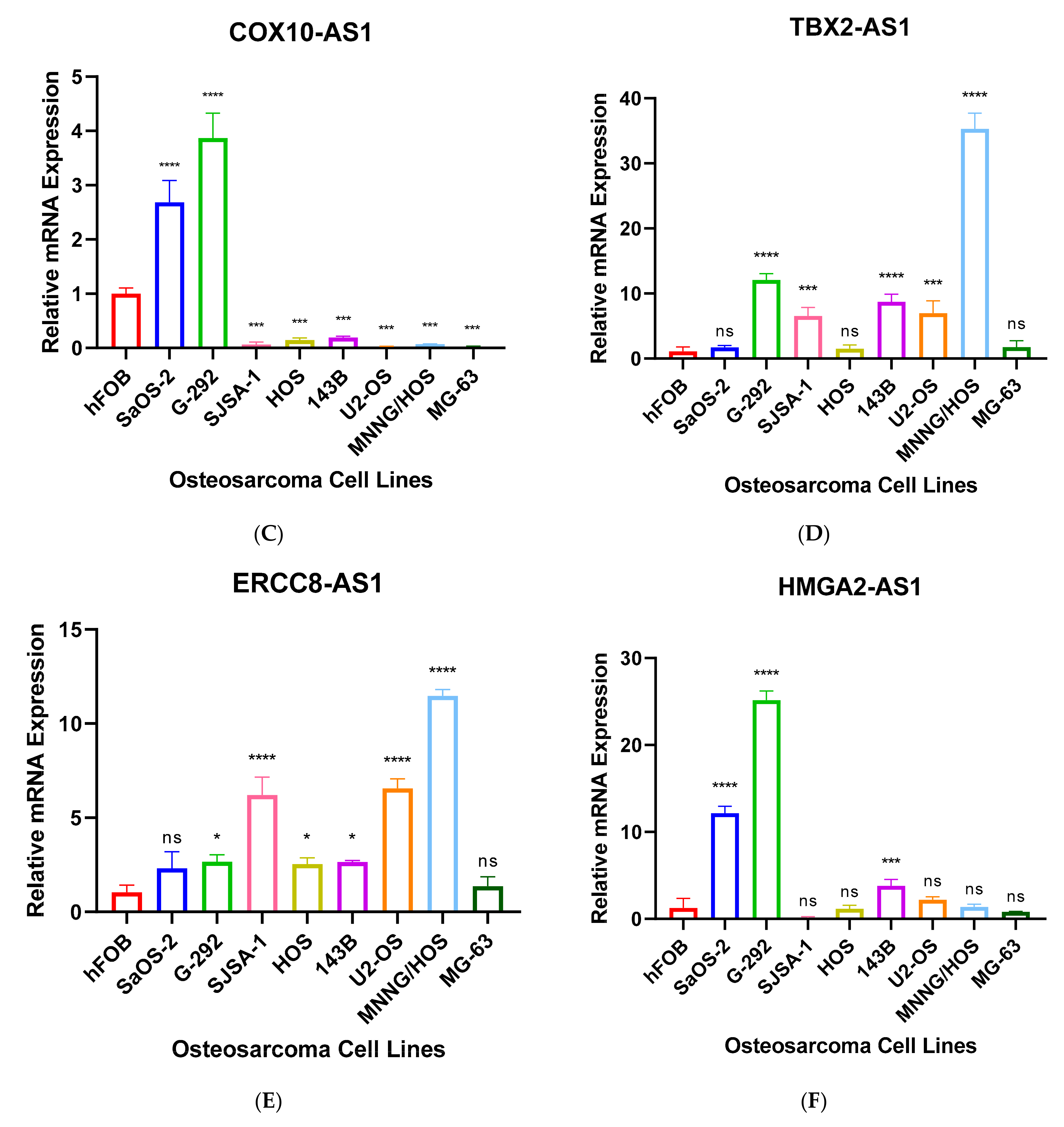 Genes 12 01132 g005b