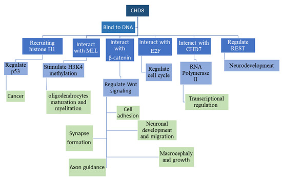 Genes 12 01133 g001 550