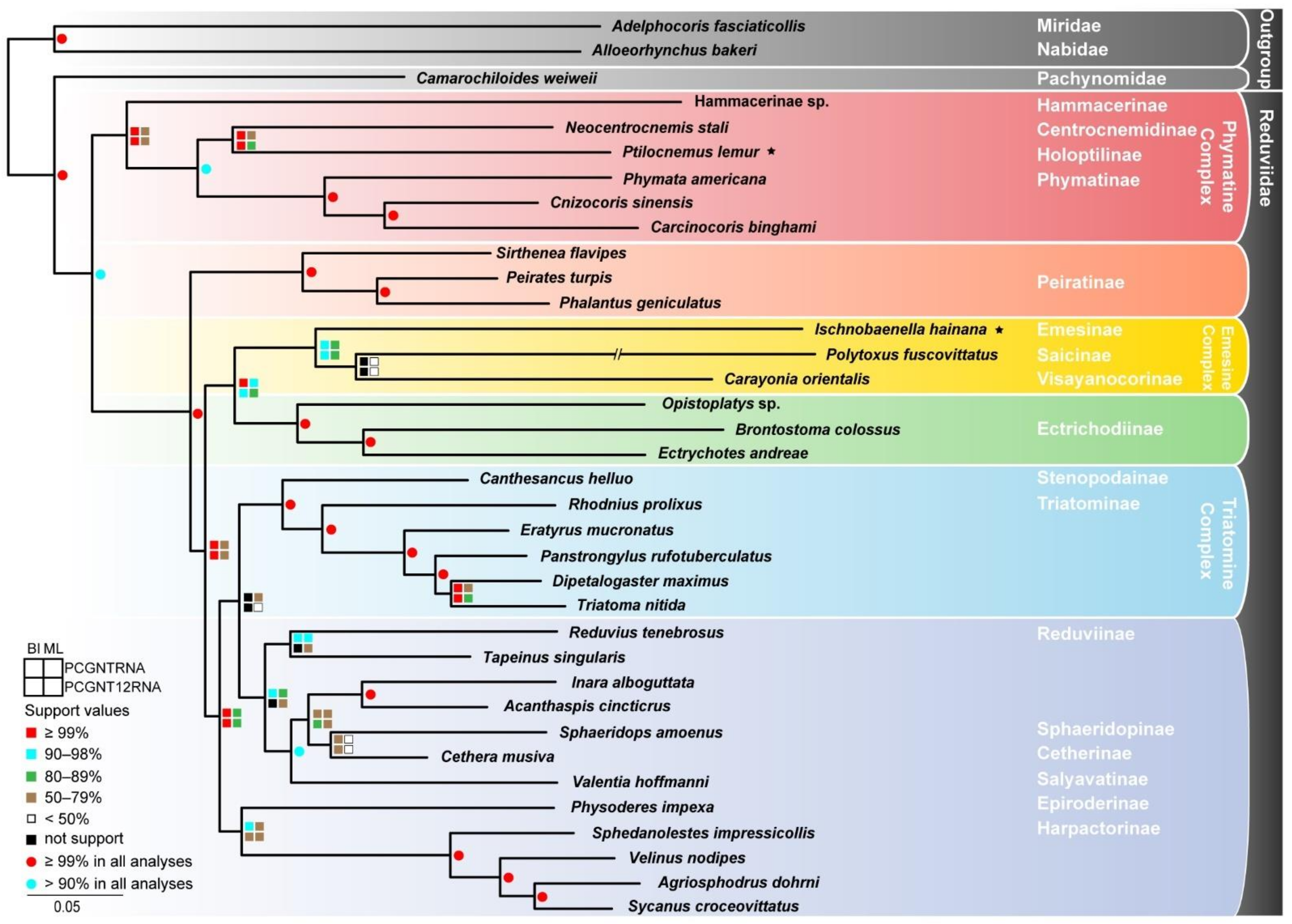 Genes 12 01134 g002