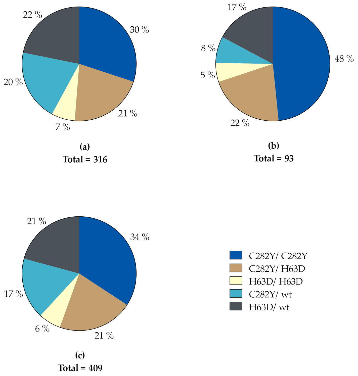 hemochromatosis gene