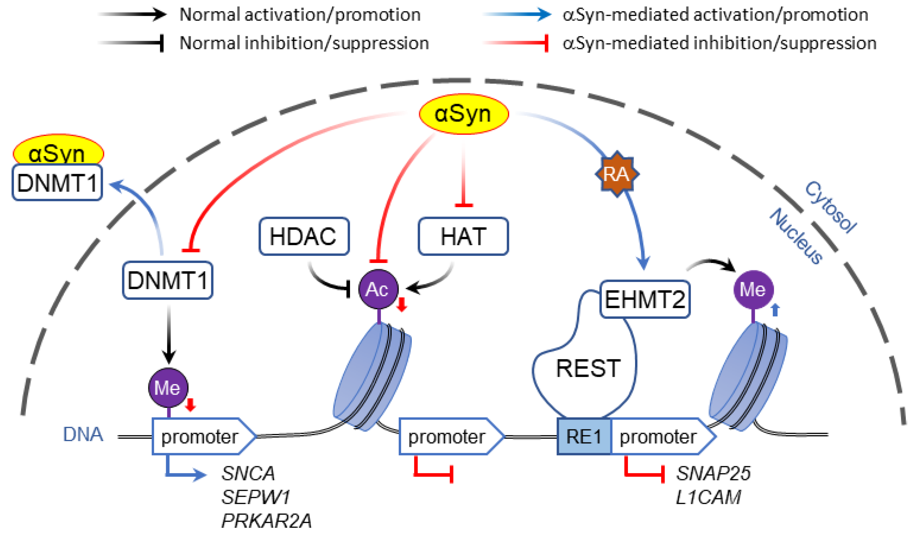 Genes 12 01166 g001 Genes 12 01166 g001