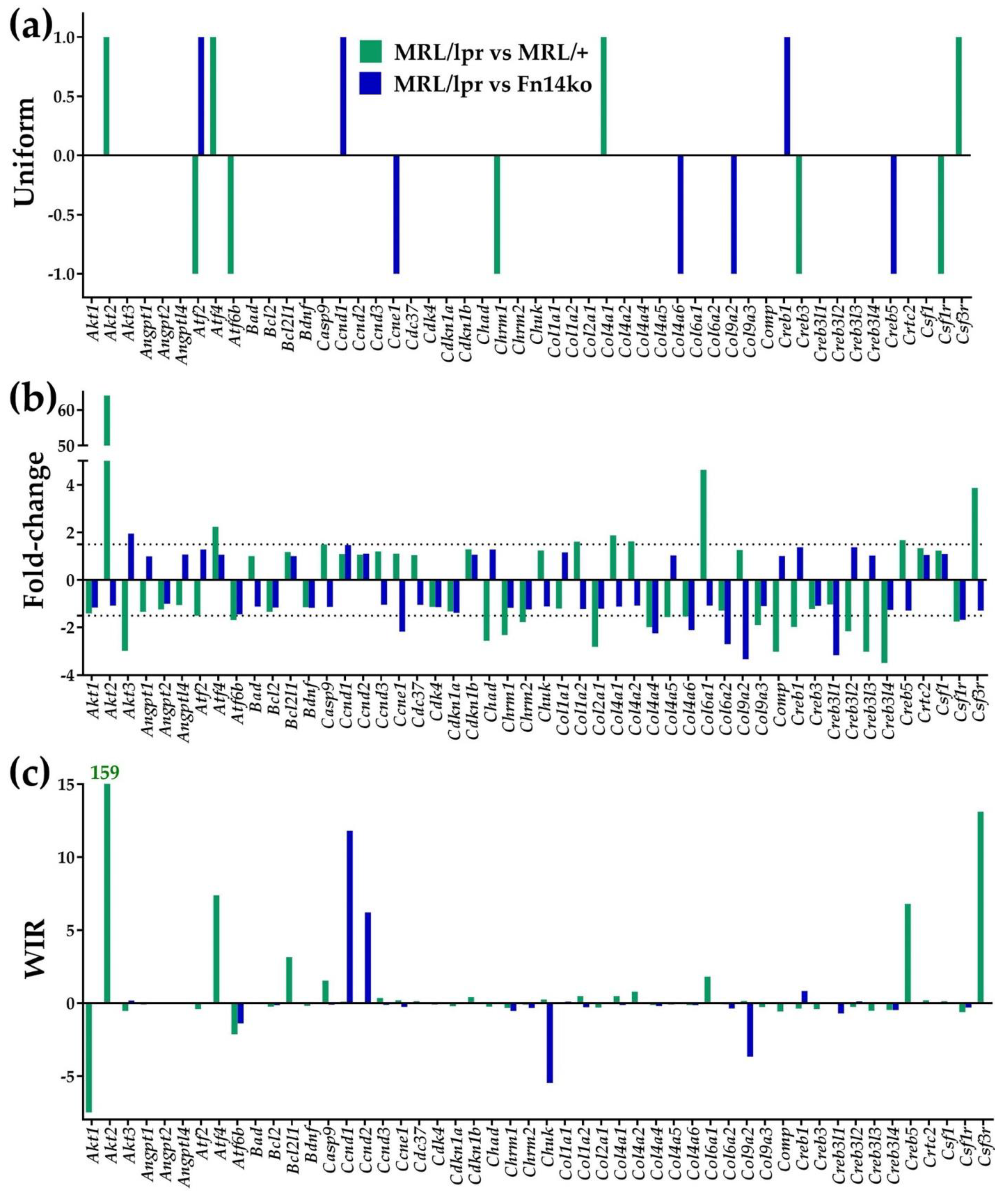 Genes 12 01172 g002 Genes 12 01172 g002
