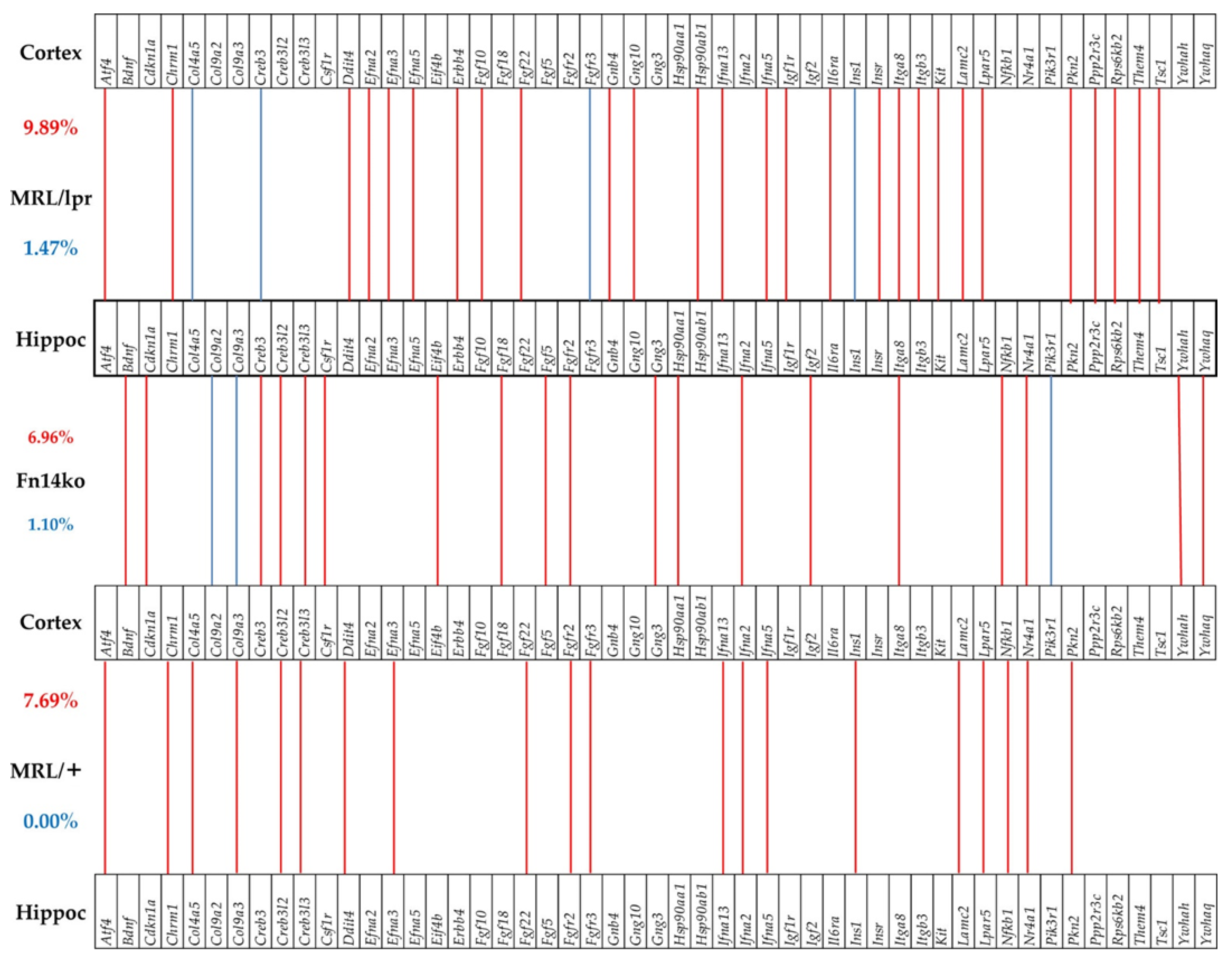 Genes 12 01172 g005 Genes 12 01172 g005