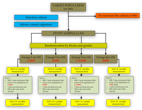 Genes Free Full Text Muscle Work And Its Relationship With Ace And Actn3 Polymorphisms Are Associated With The Improvement Of Explosive Strength Html