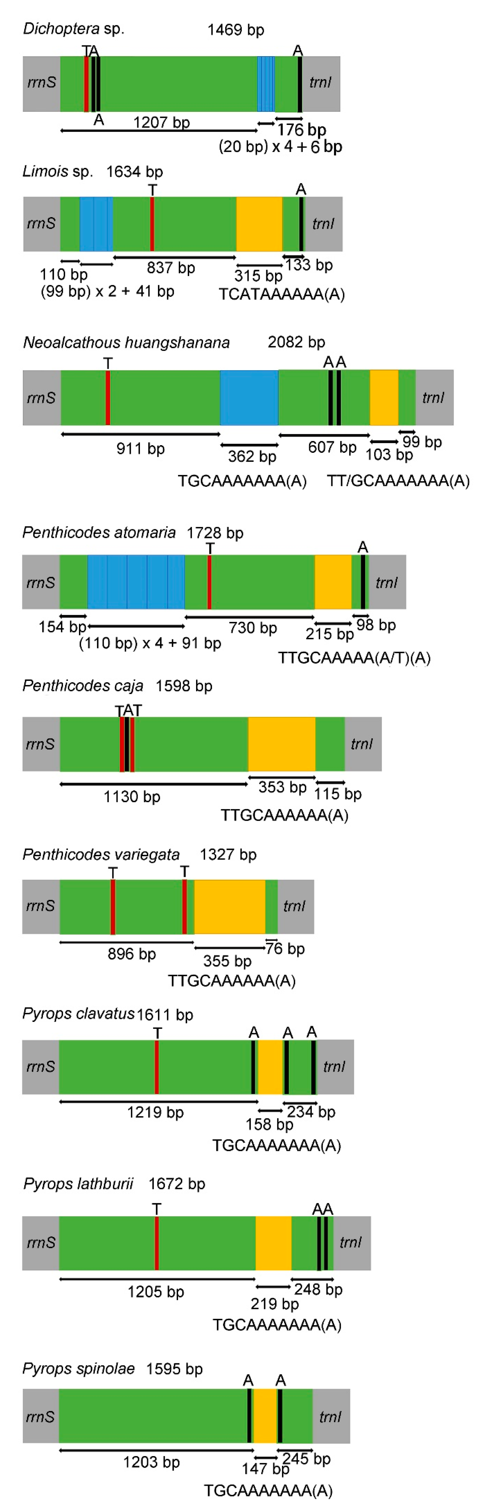 Genes 12 01185 g005 550