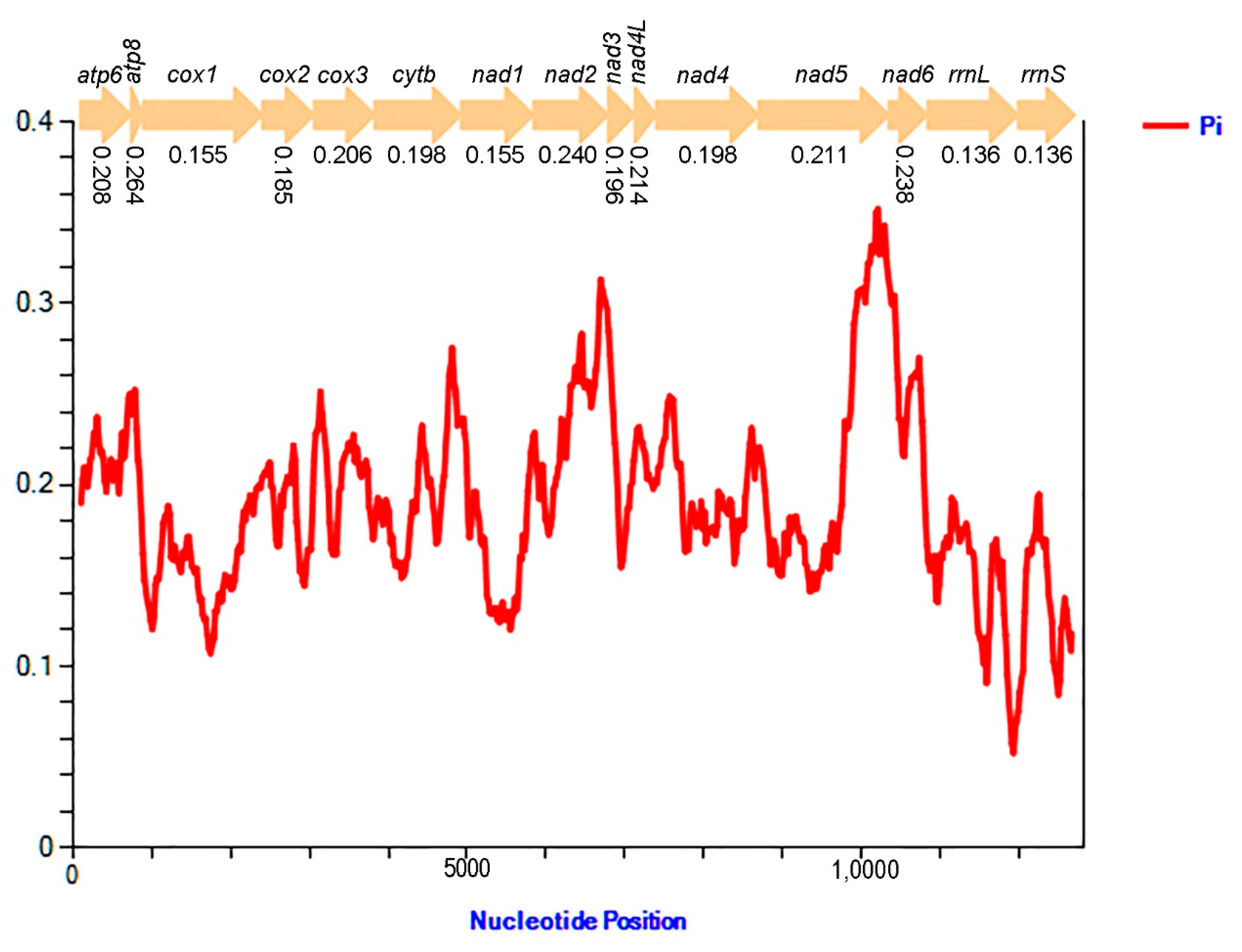 Genes 12 01185 g006 550