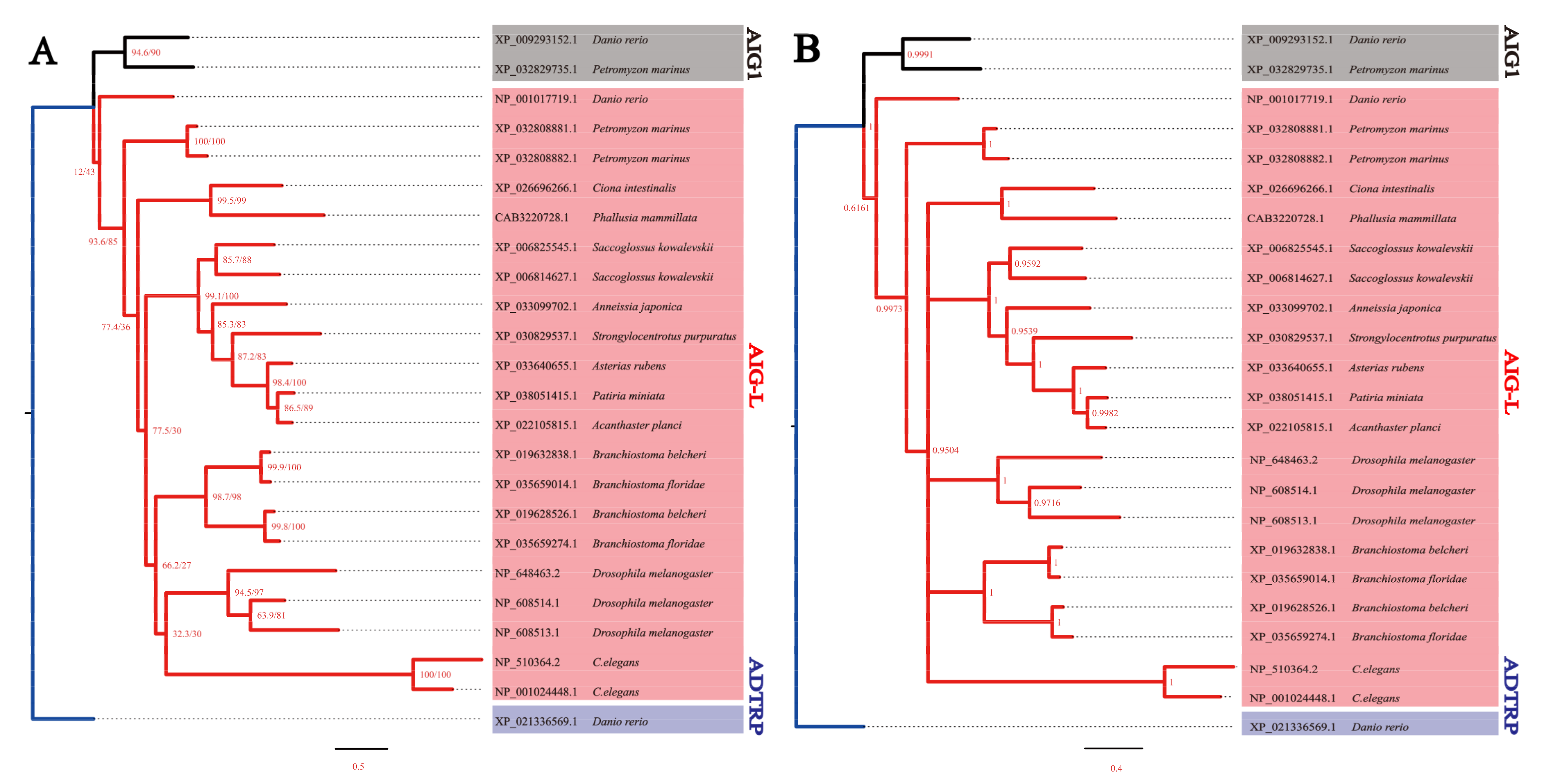 Genes 12 01190 g002 Genes 12 01190 g002