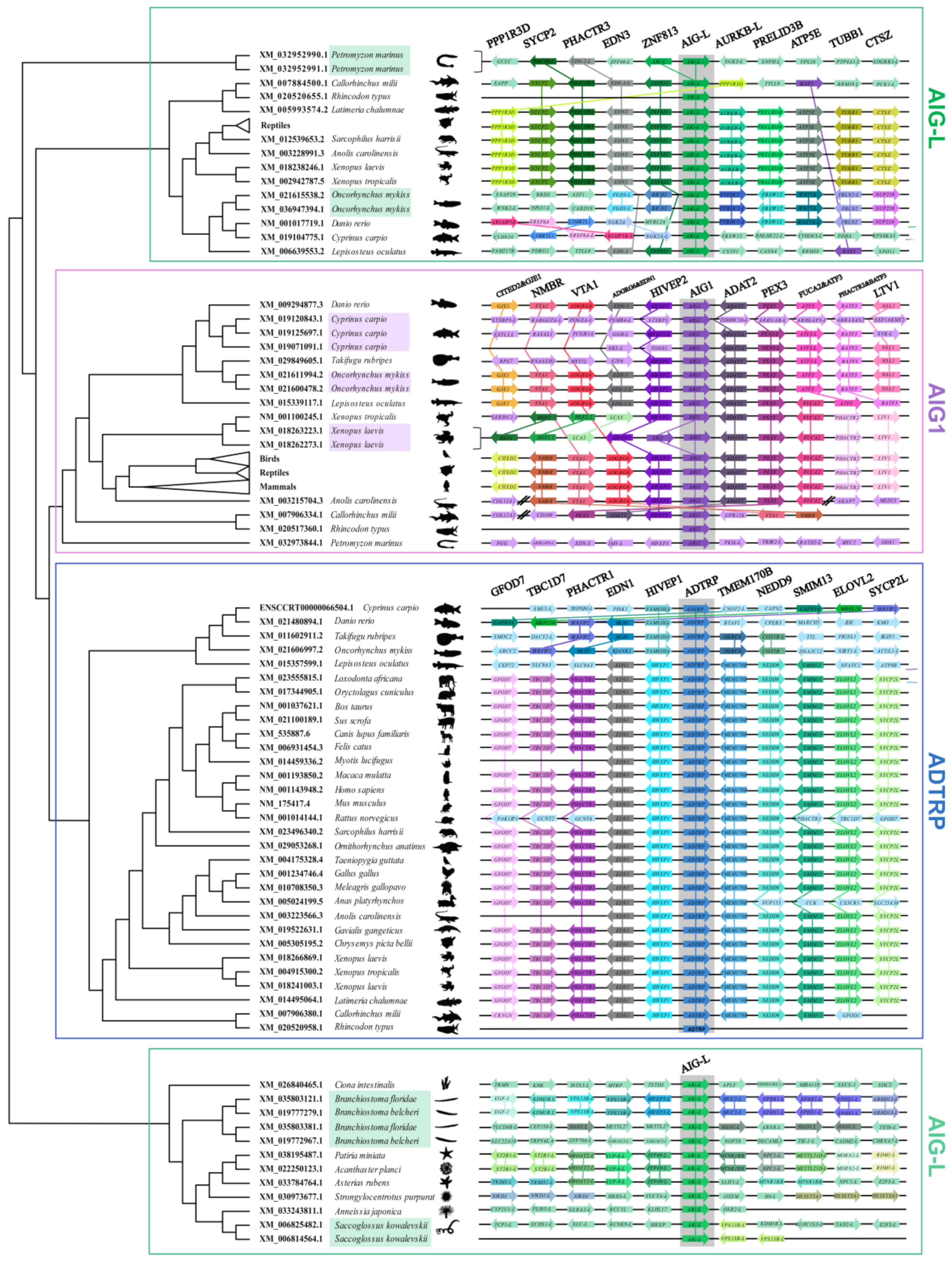 Genes 12 01190 g003 Genes 12 01190 g003