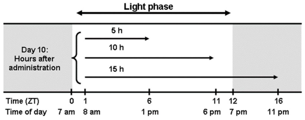 Genes 12 01195 g001 Genes 12 01195 g001