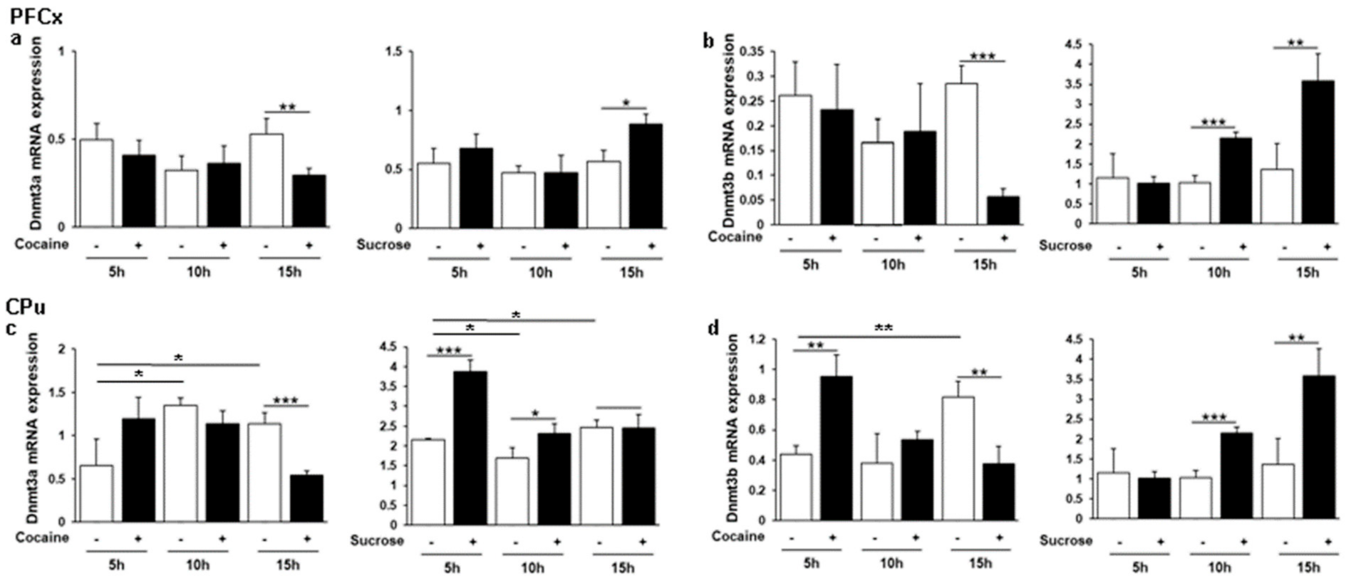 Genes 12 01195 g002 Genes 12 01195 g002