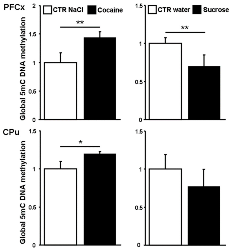 Genes 12 01195 g004 Genes 12 01195 g004