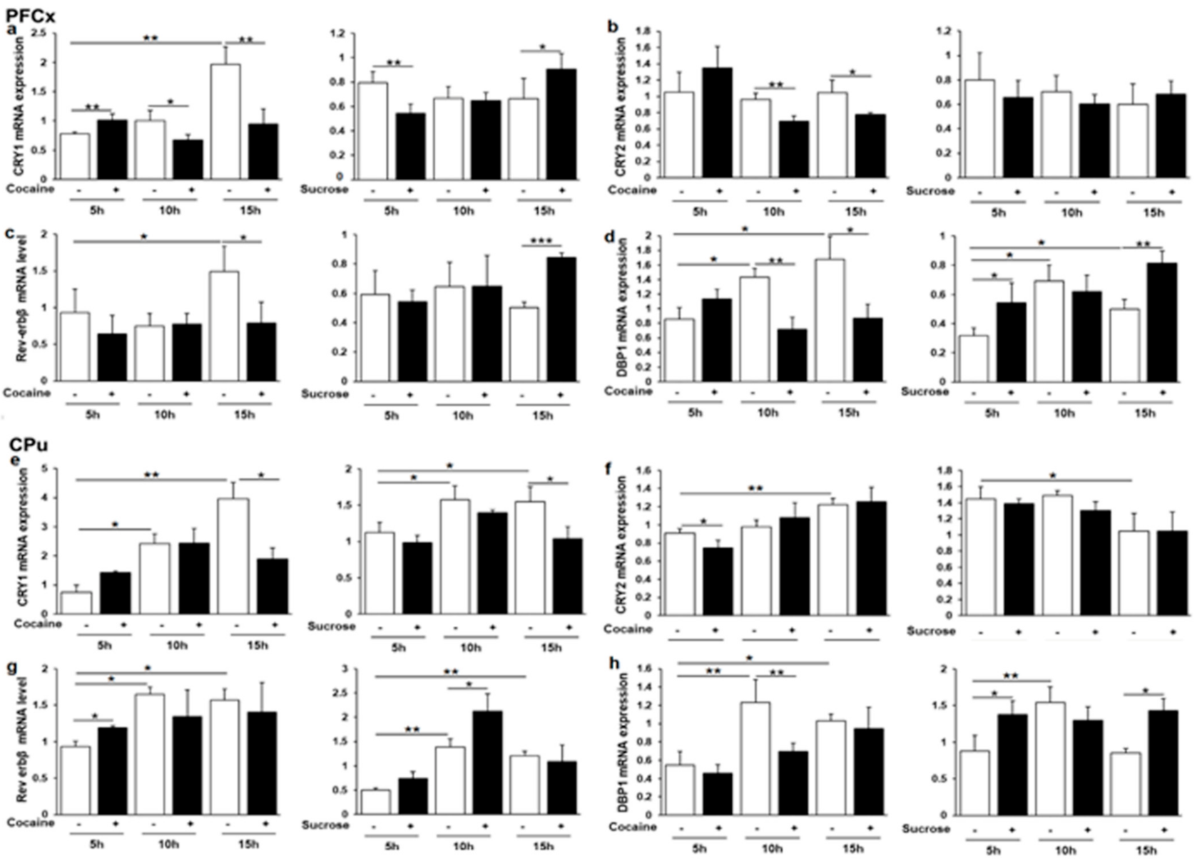 Genes 12 01195 g005 Genes 12 01195 g005