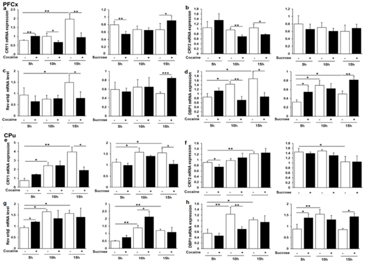 Genes 12 01195 g006 Genes 12 01195 g006