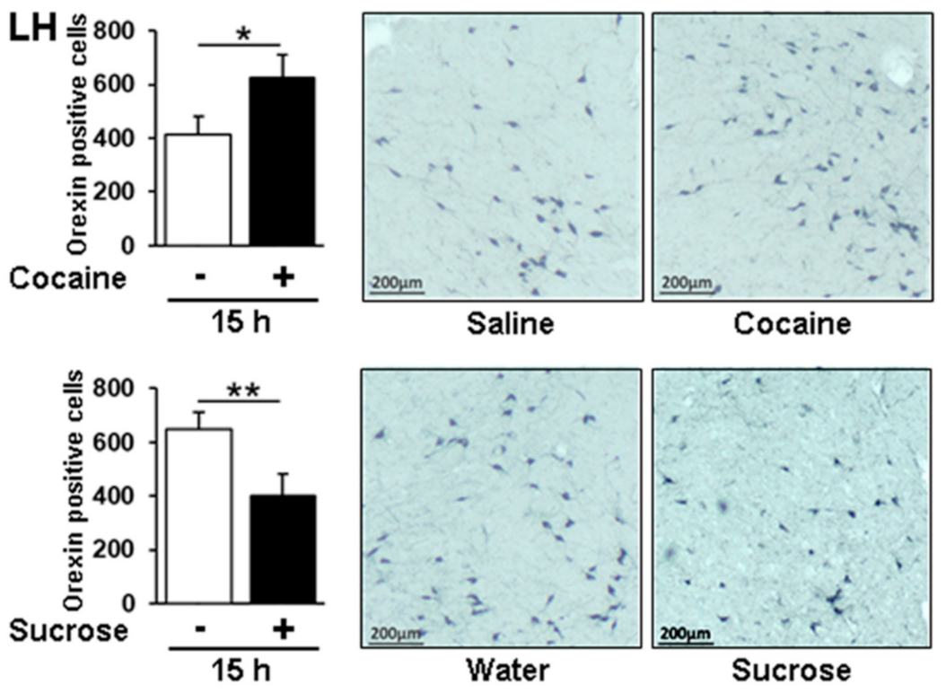 Genes 12 01195 g008 Genes 12 01195 g008
