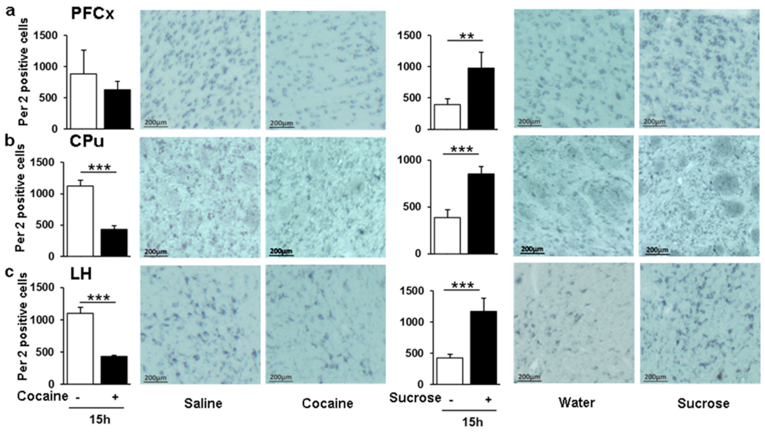 Genes 12 01195 g009 Genes 12 01195 g009