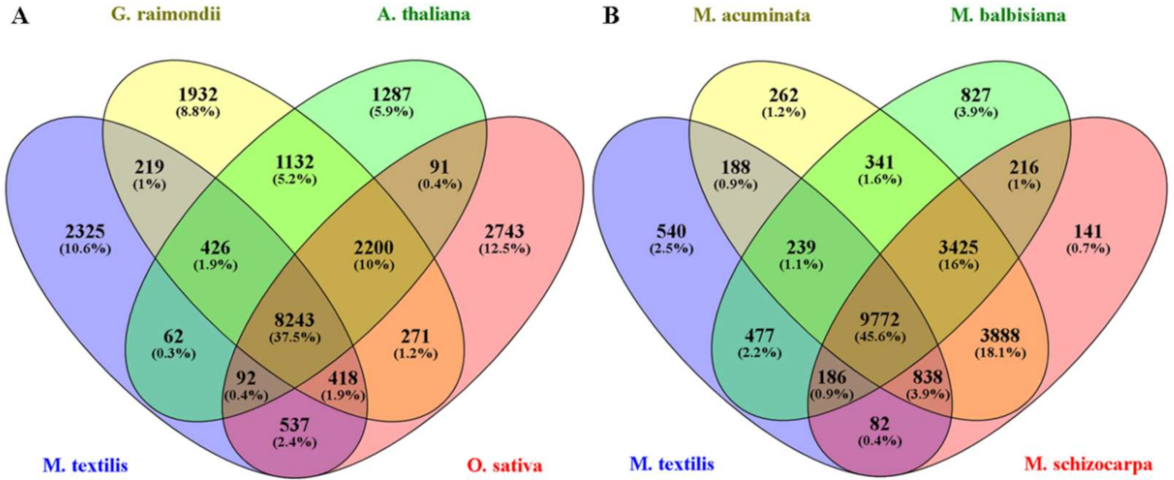 Genes 12 01202 g004 Genes 12 01202 g004