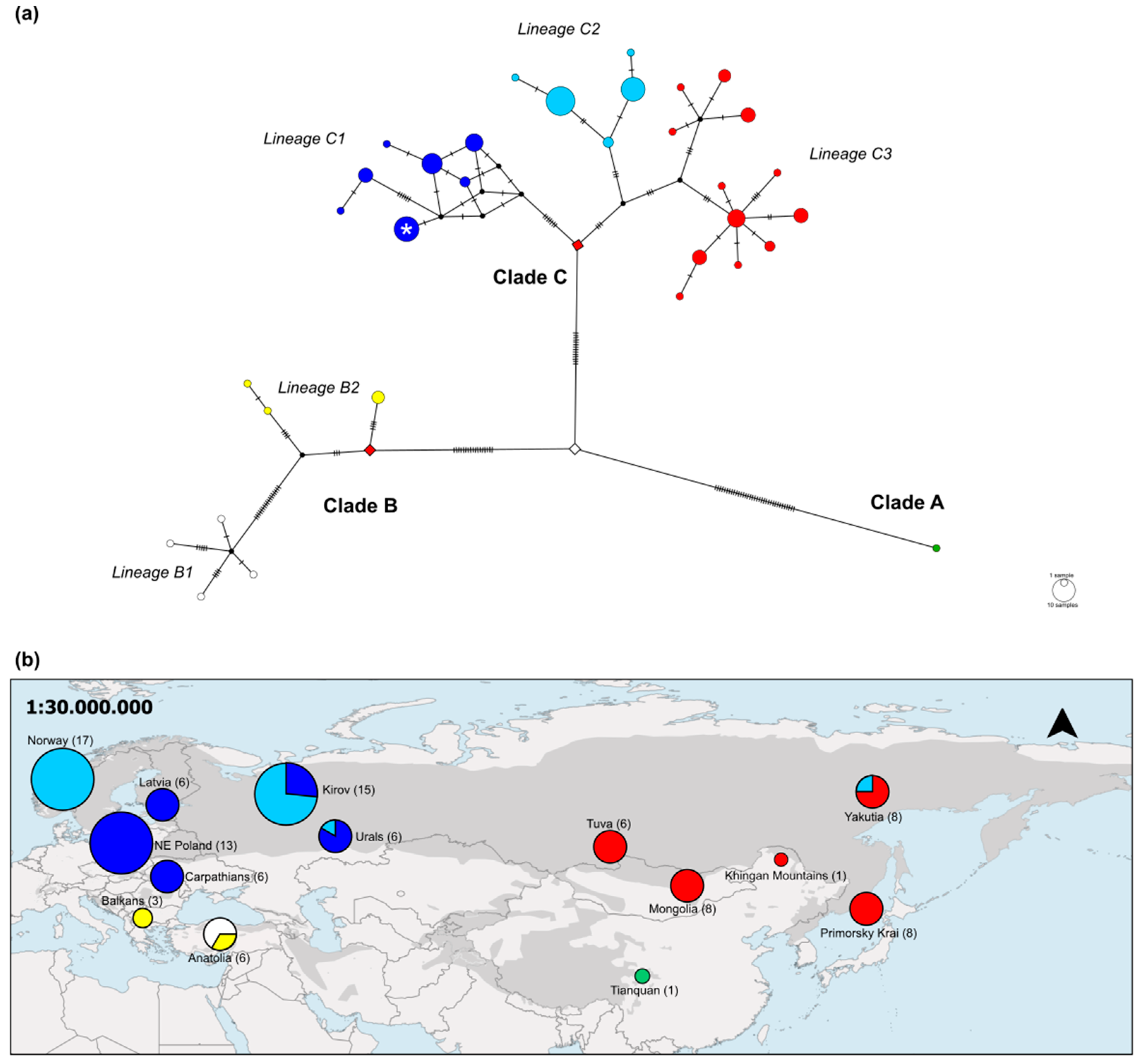 Genes 12 01216 g003