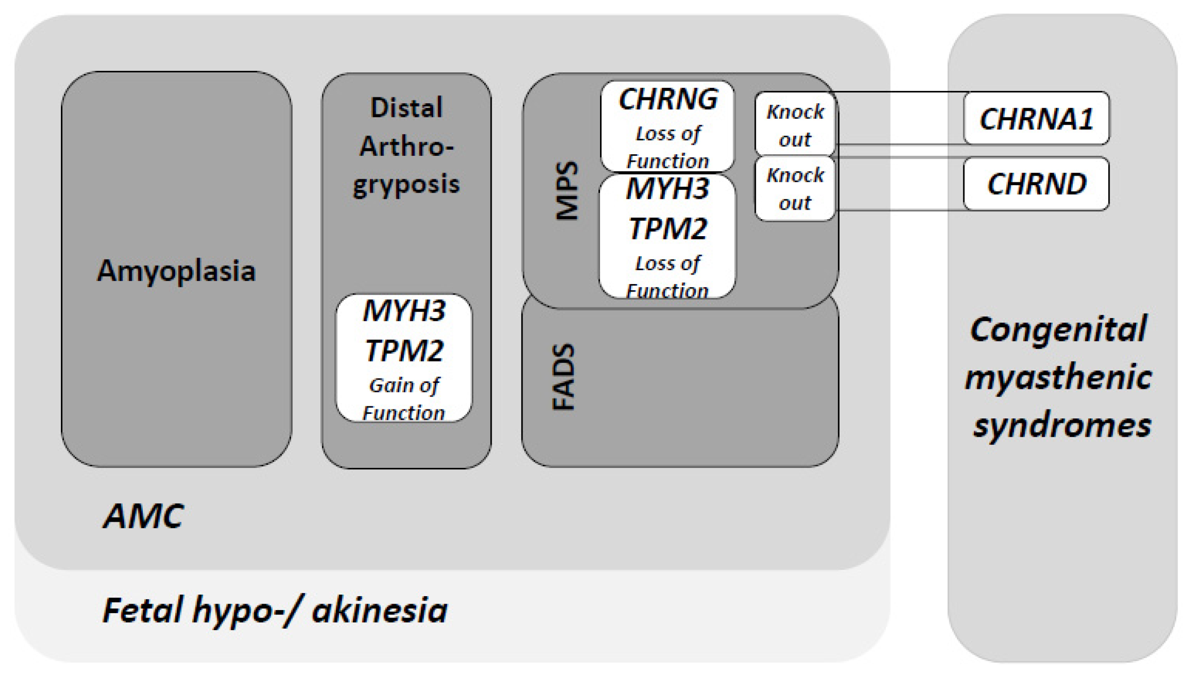 Genes 12 01220 g001 550