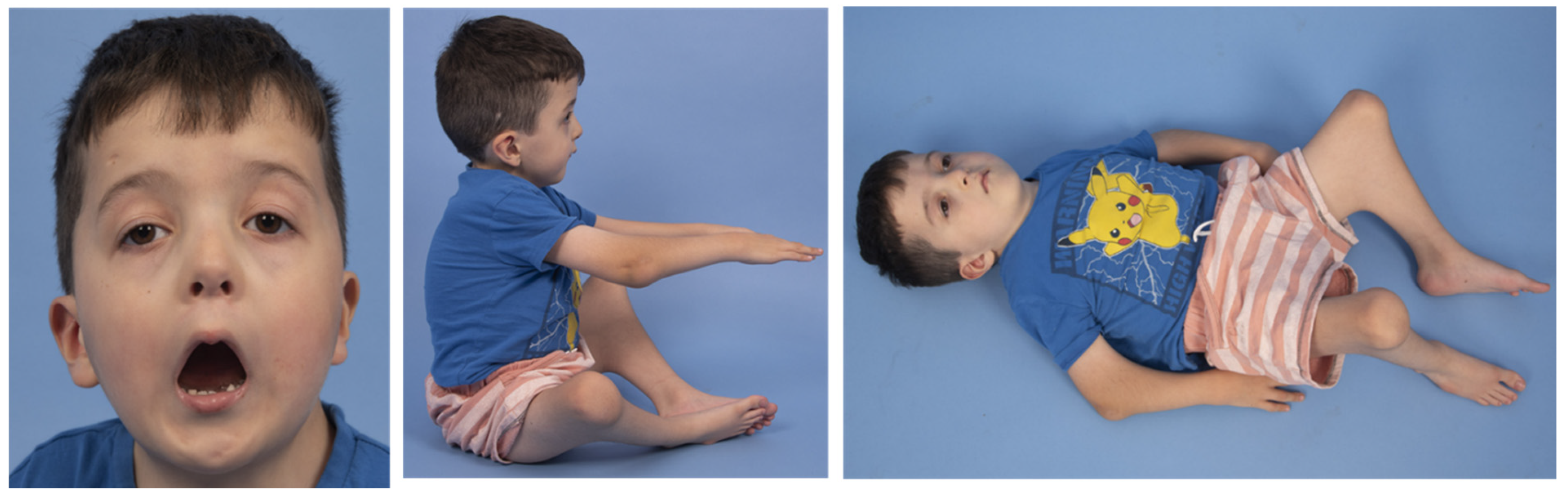 Genes 12 01220 g002 550