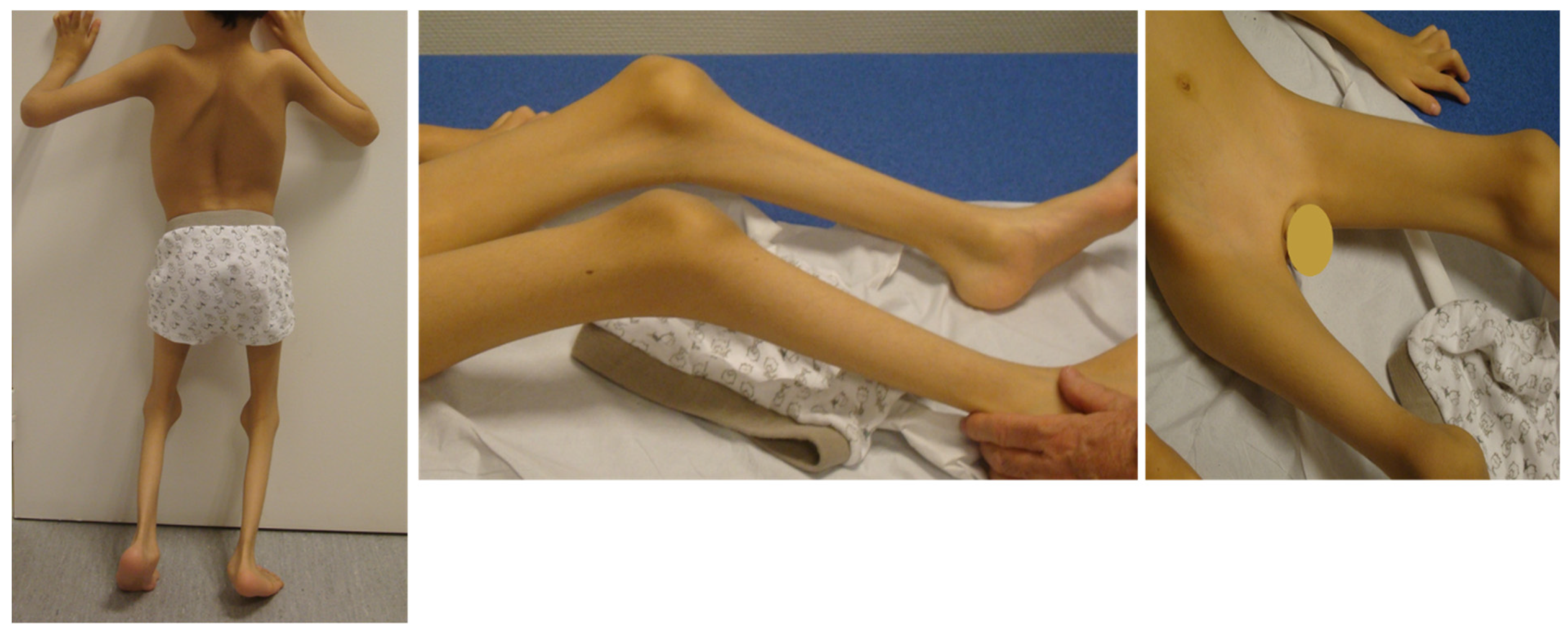 Genes 12 01220 g003 550