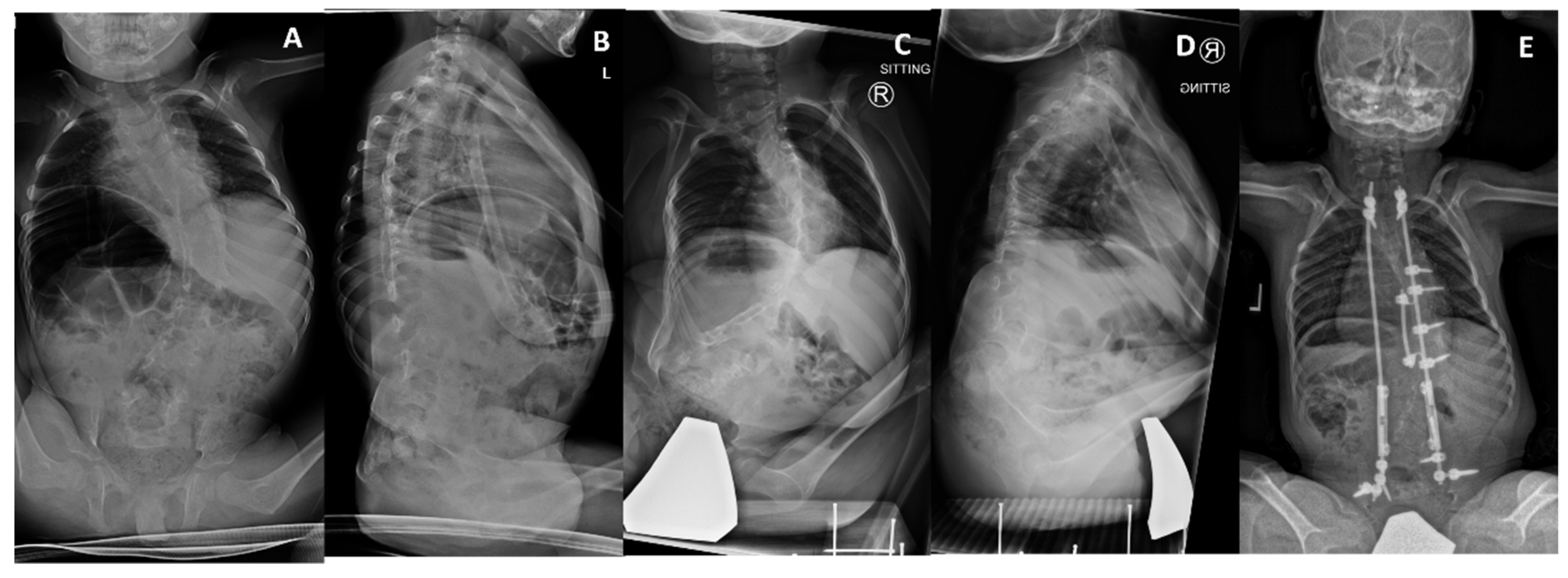 Genes 12 01220 g004 550