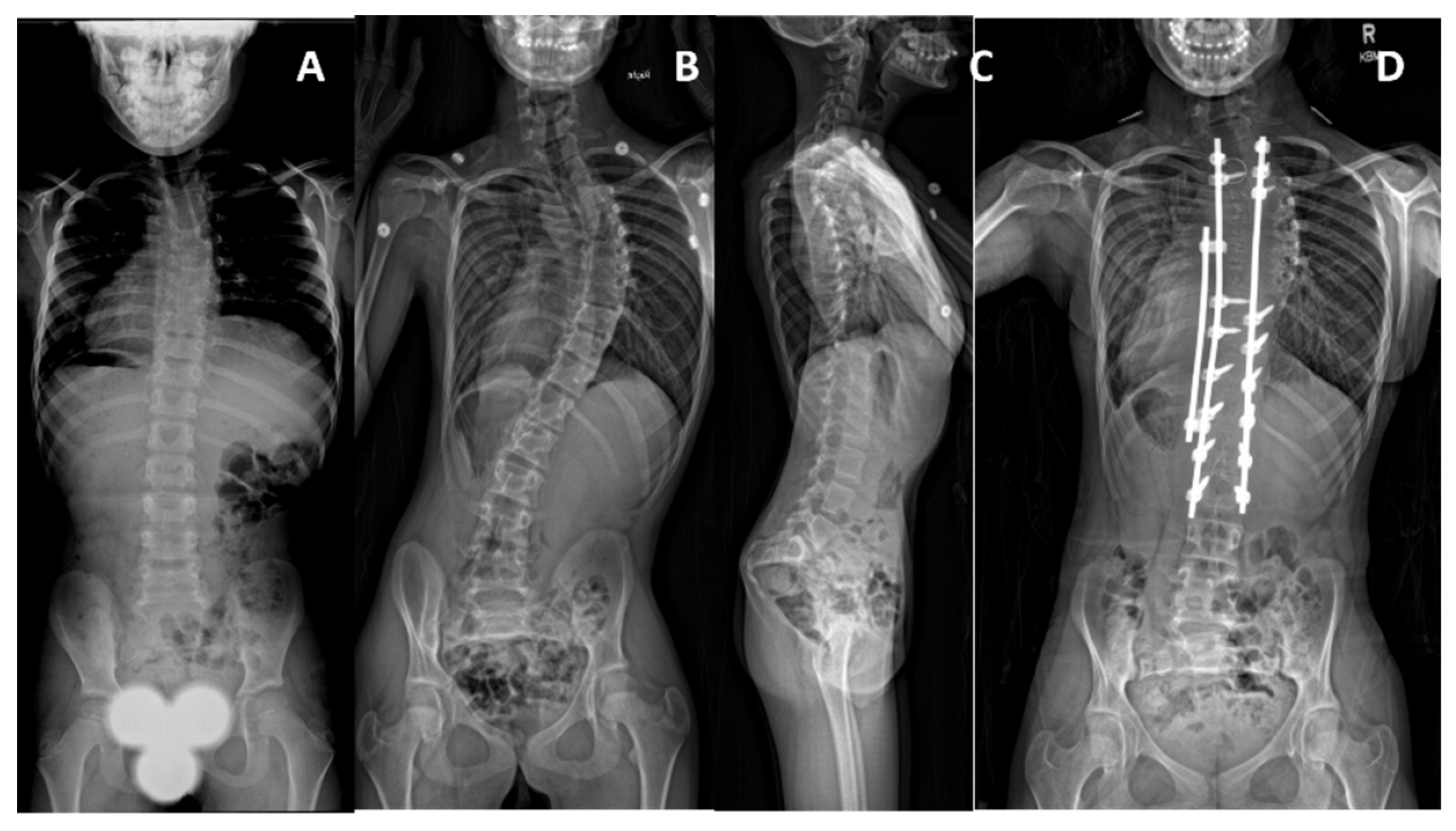 Genes 12 01220 g005 550