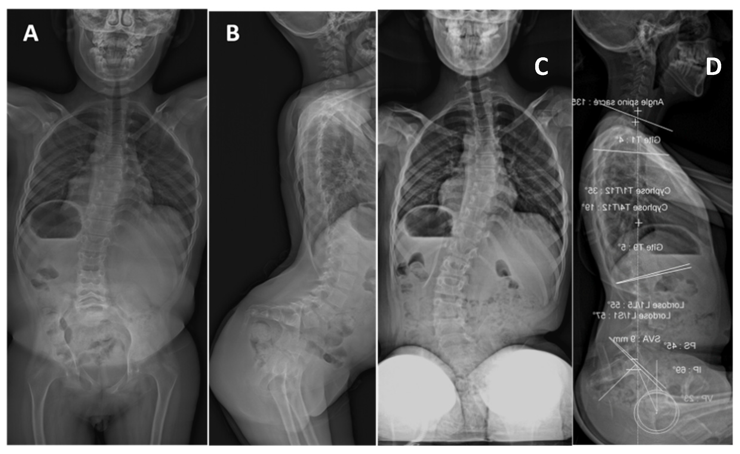 Genes 12 01220 g006 550