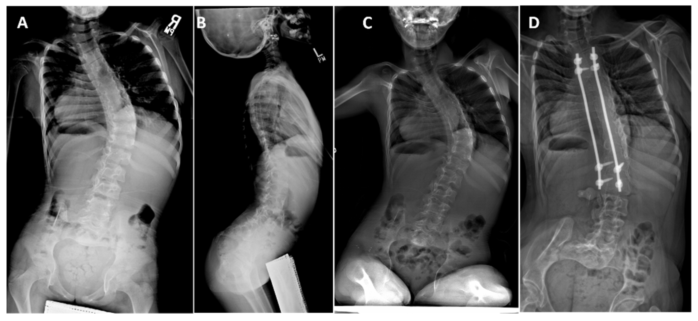 Genes 12 01220 g007 550