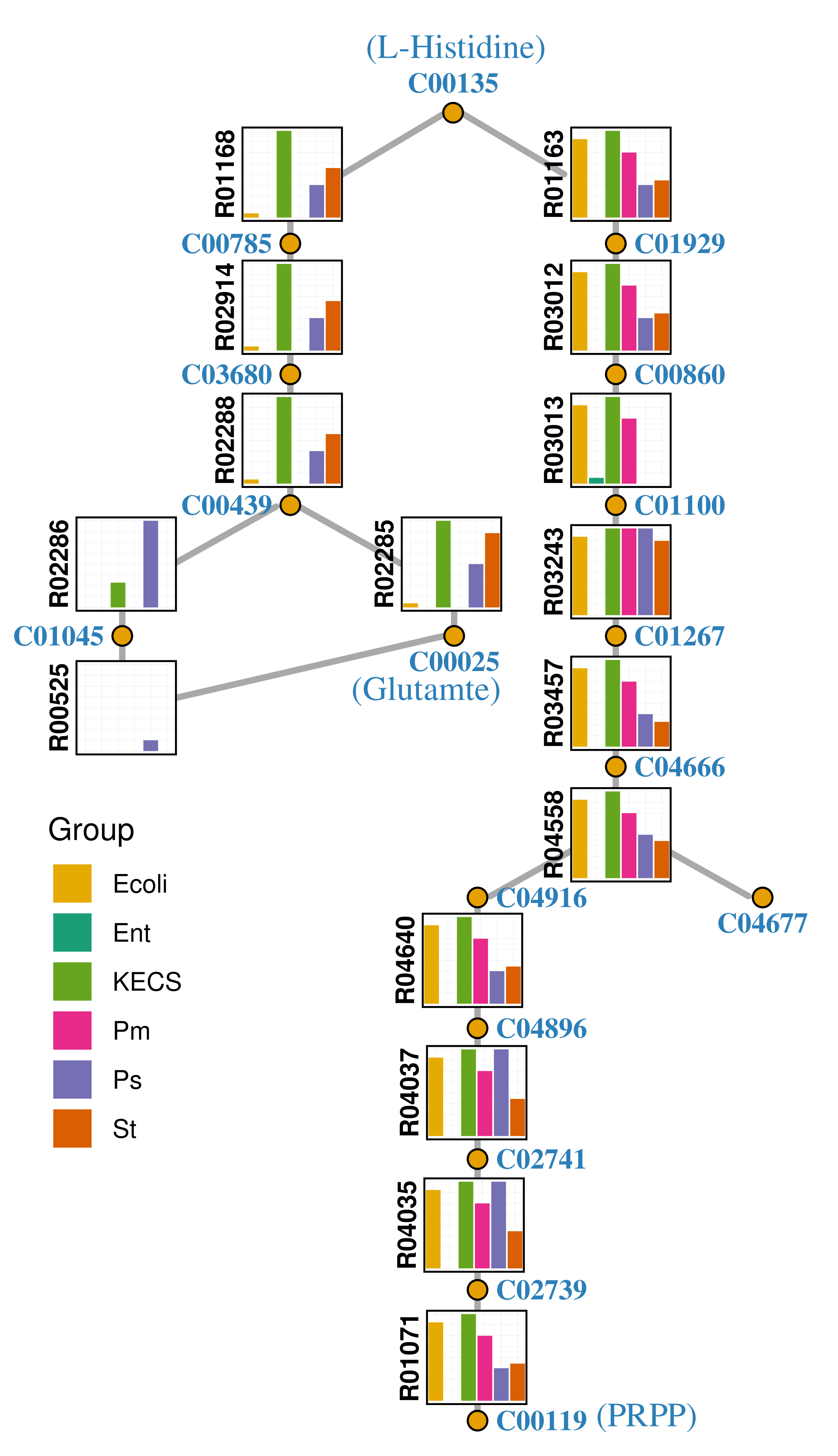 Genes 12 01221 g004 550