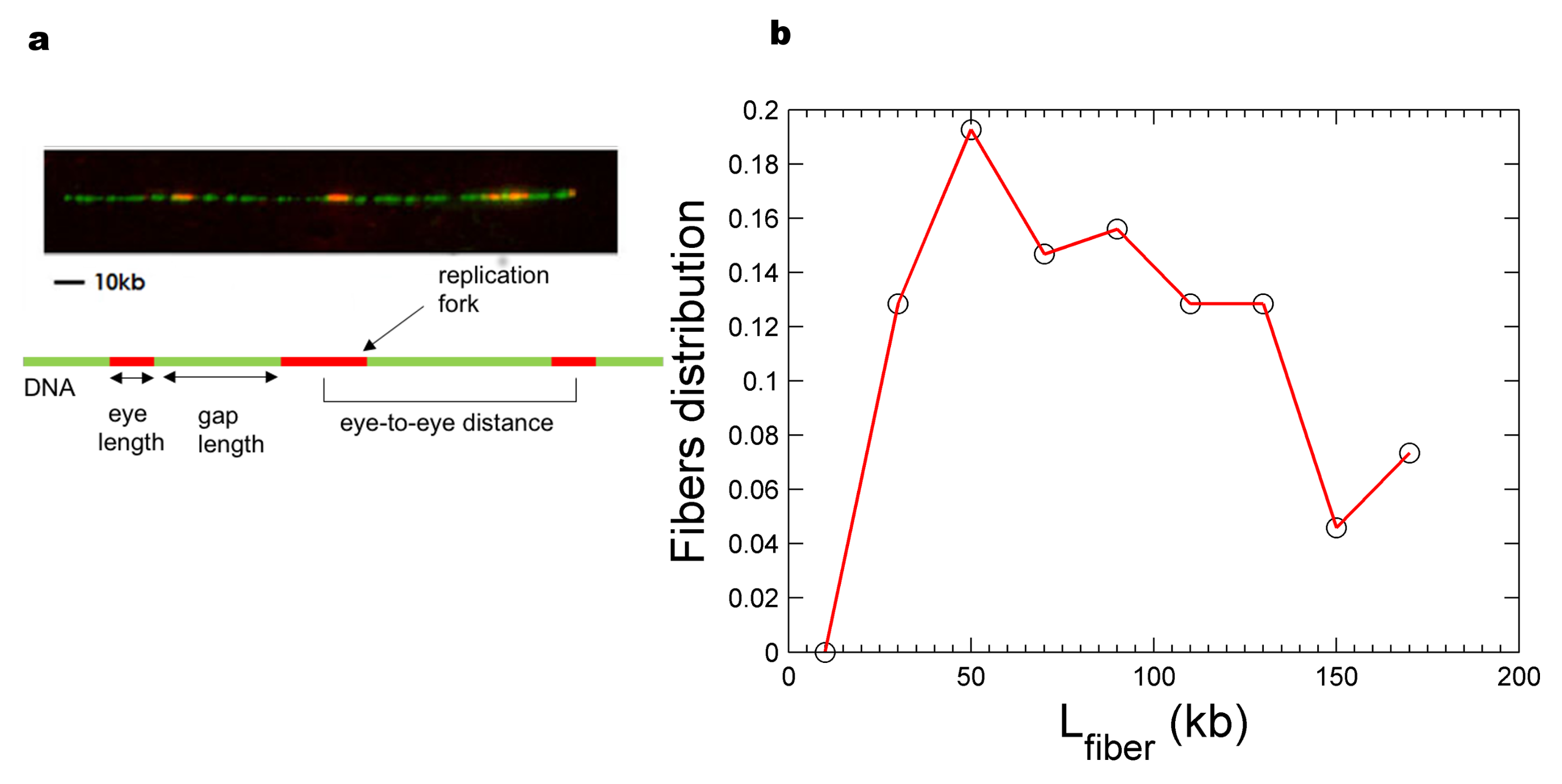Genes 12 01224 g001 Genes 12 01224 g001