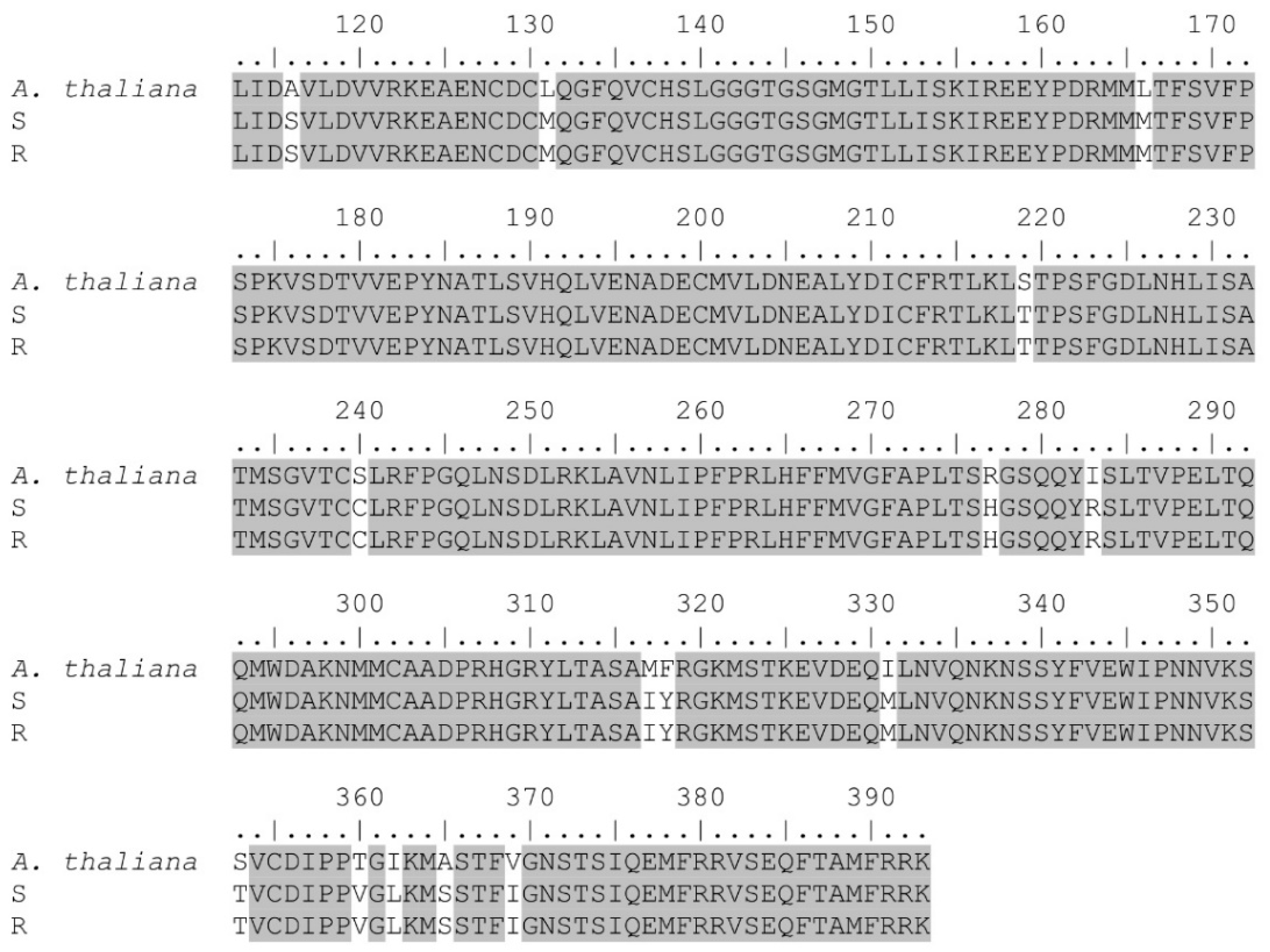 Genes 12 01225 g004