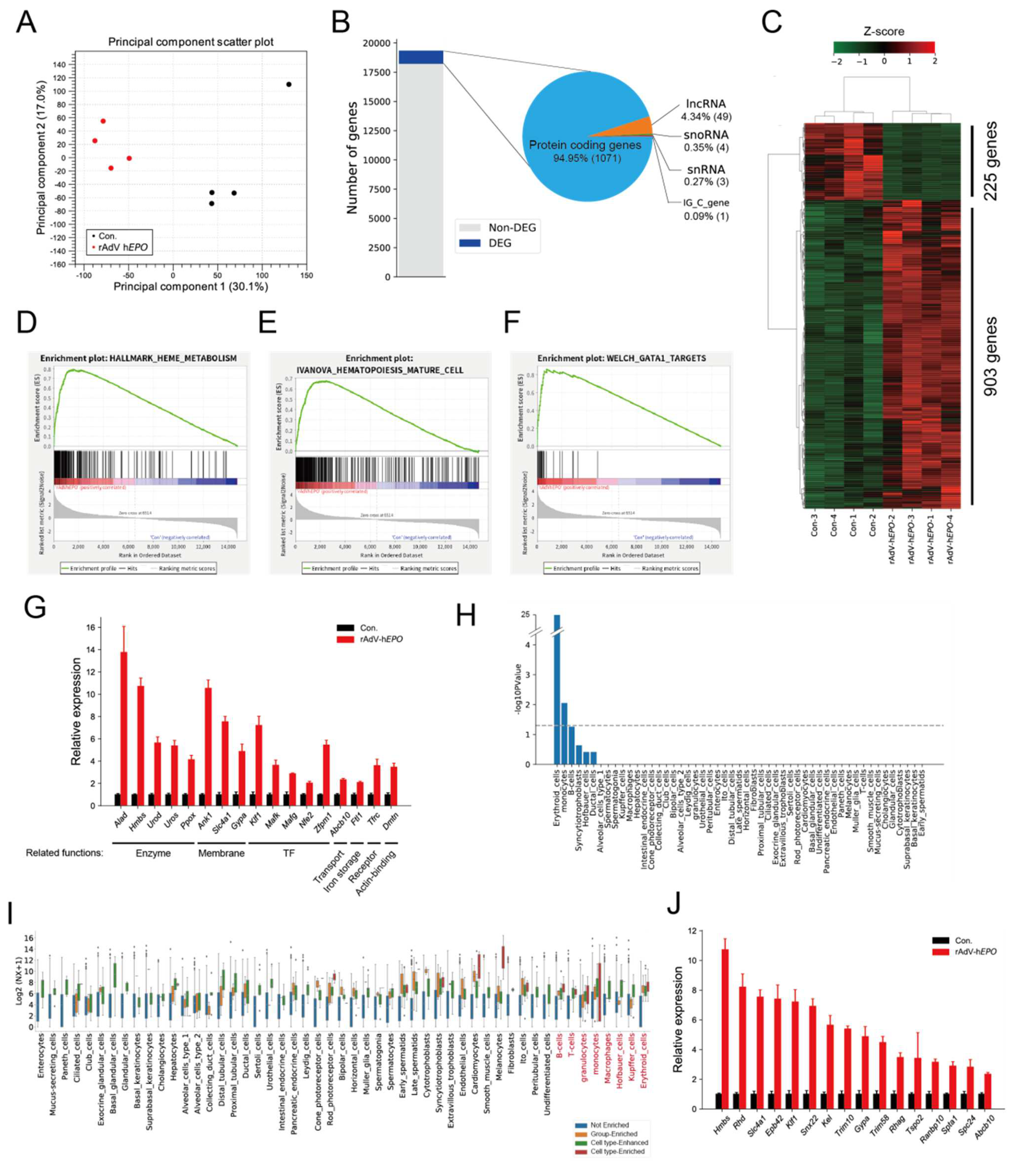Genes 12 01249 g003 550