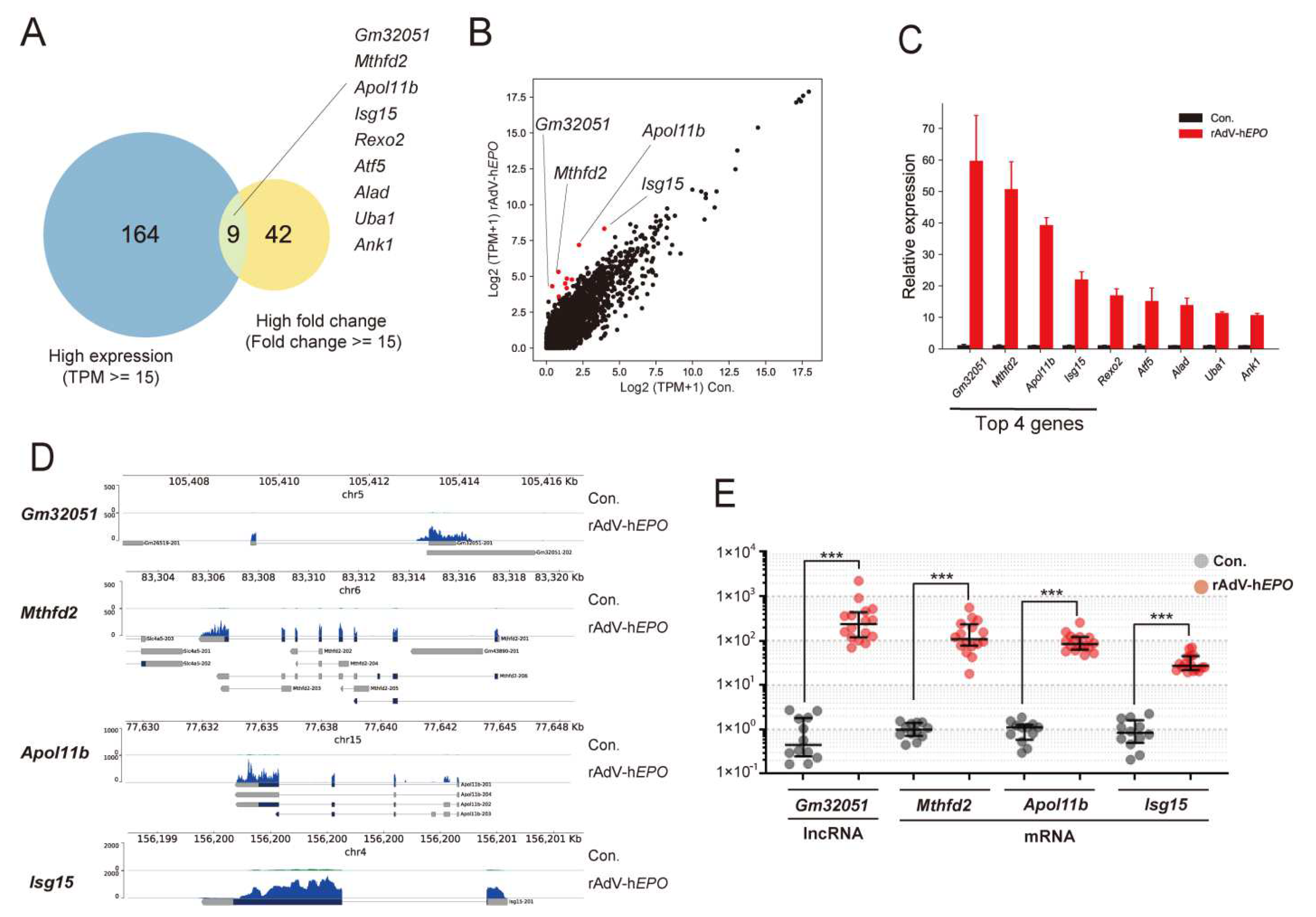 Genes 12 01249 g004 550