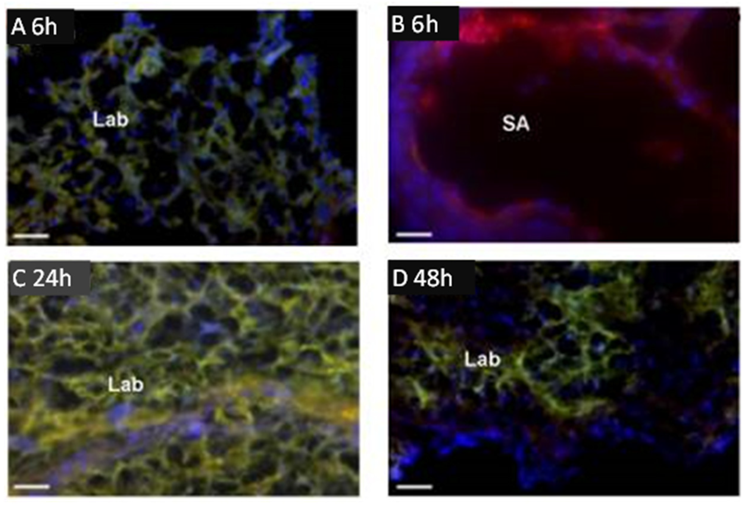 Genes 12 01255 g001 Genes 12 01255 g001