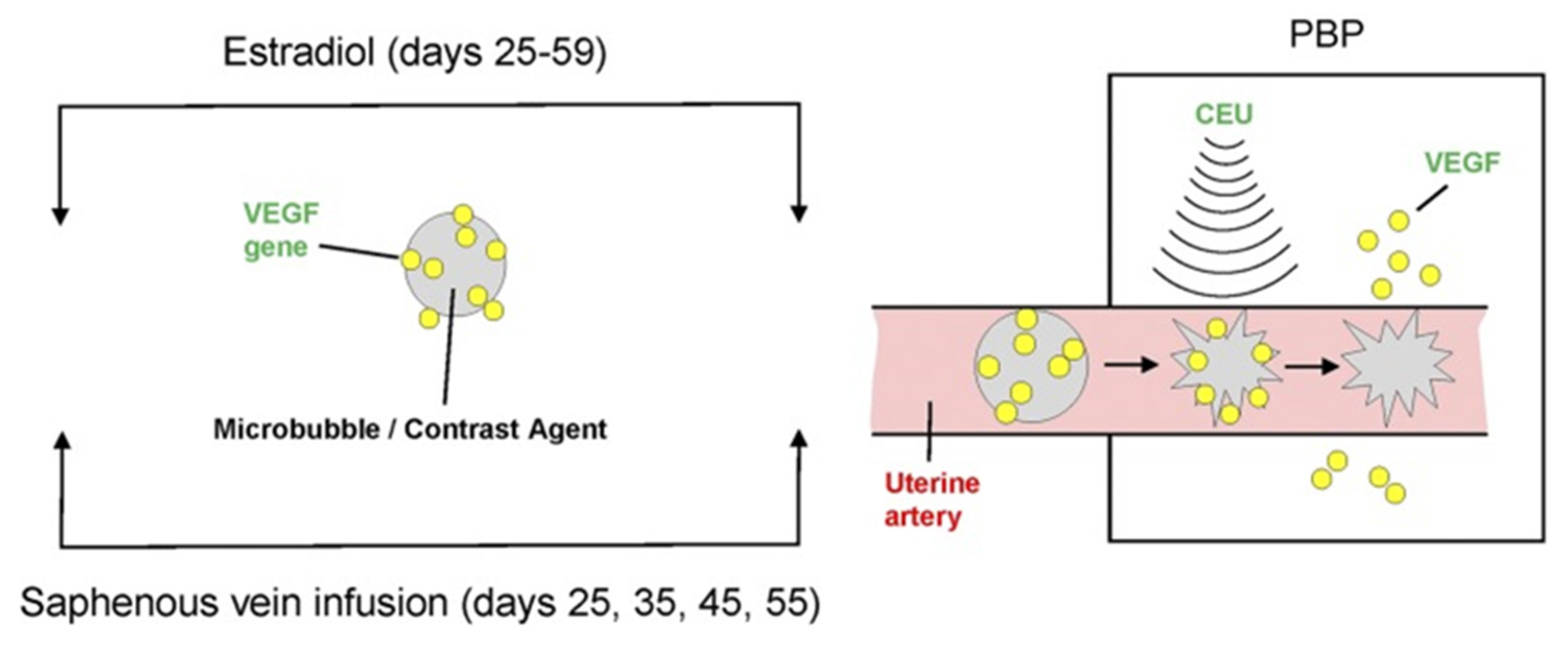 Genes 12 01255 g008 Genes 12 01255 g008